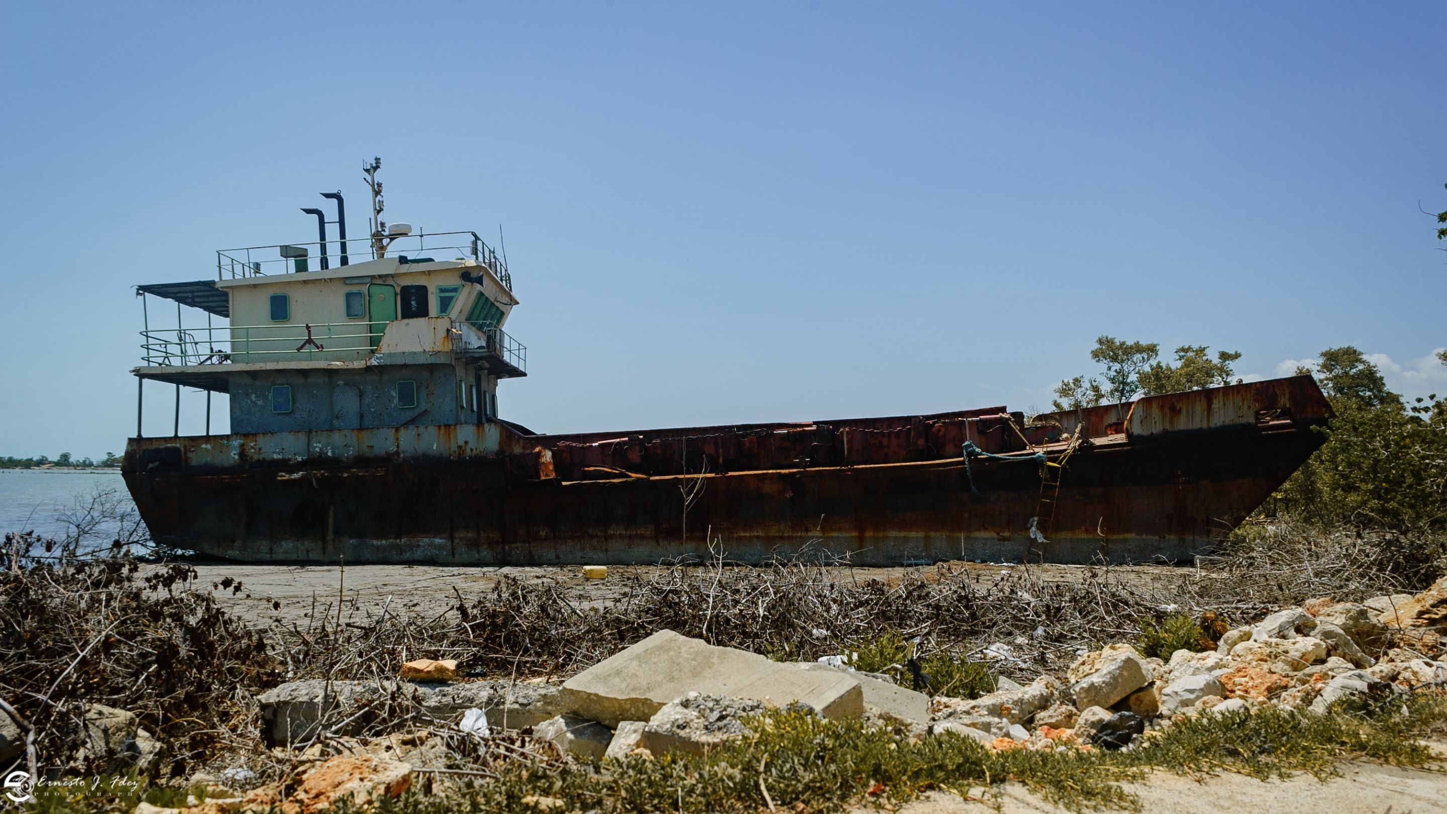 DSC_5825-1.jpg