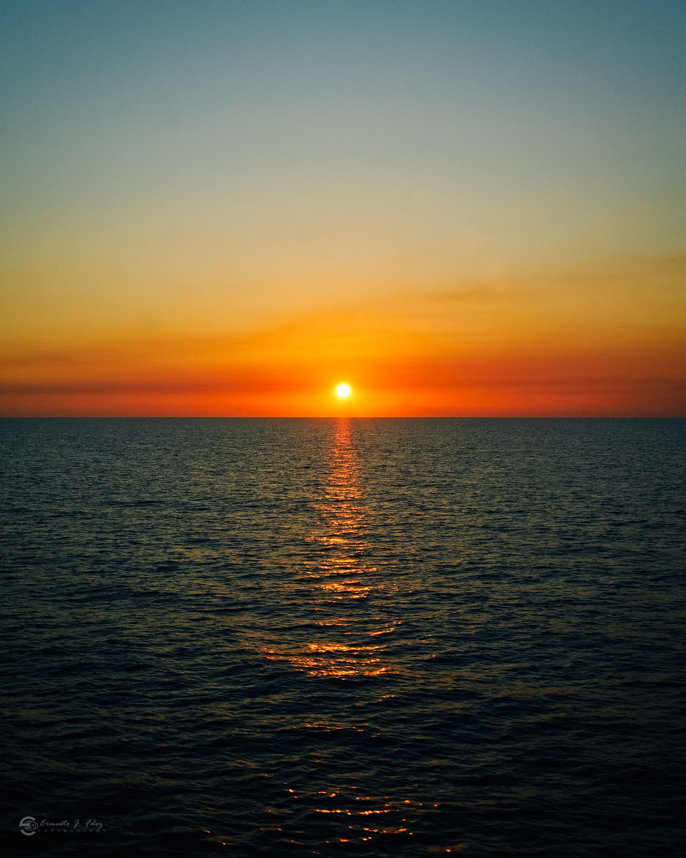 DSC_5779-1.jpg