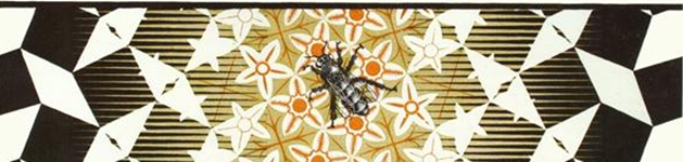 Fragmento Metamorfosiis III de Escher.png