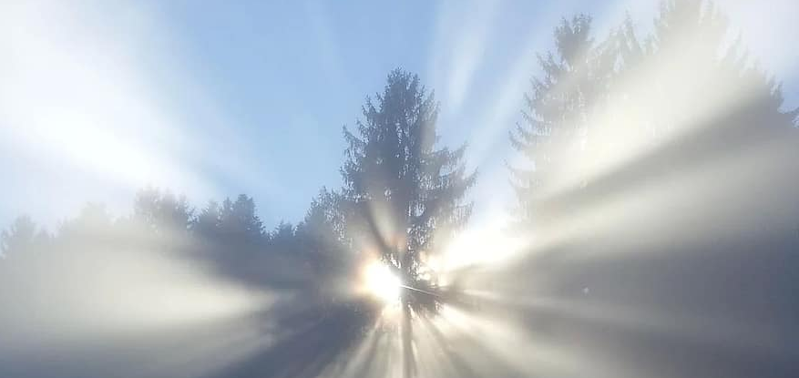 Imagen de luz natural naciente.png