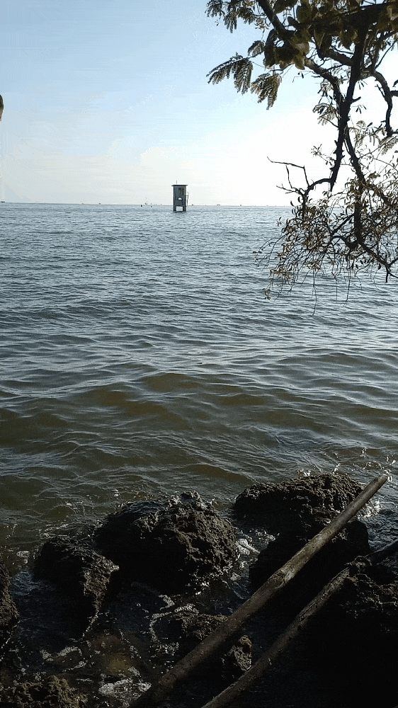 GIF-250414_182200.gif