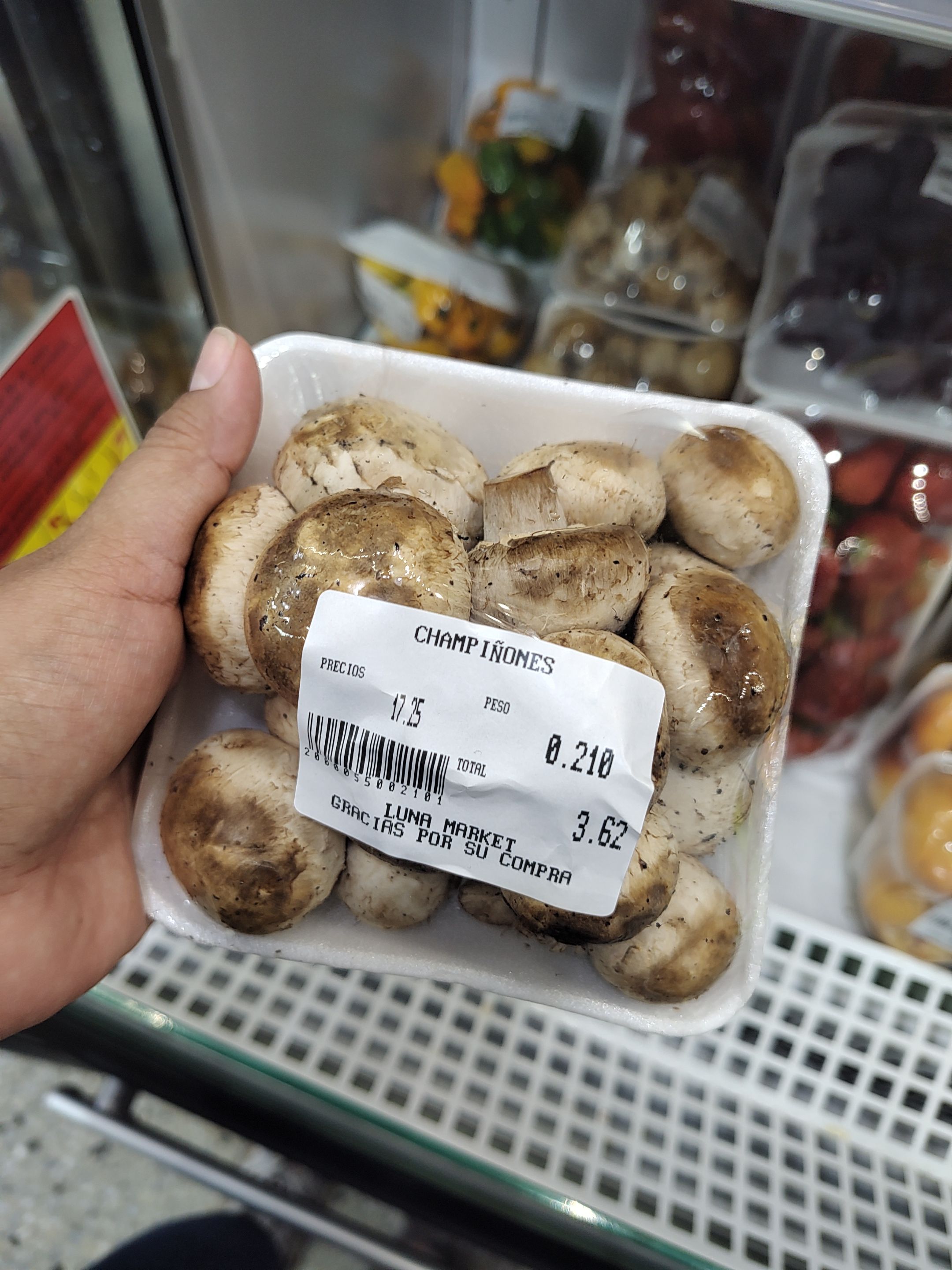 1000282001.jpg