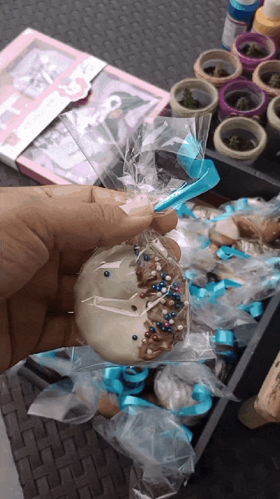 GIF-250404_142009.gif