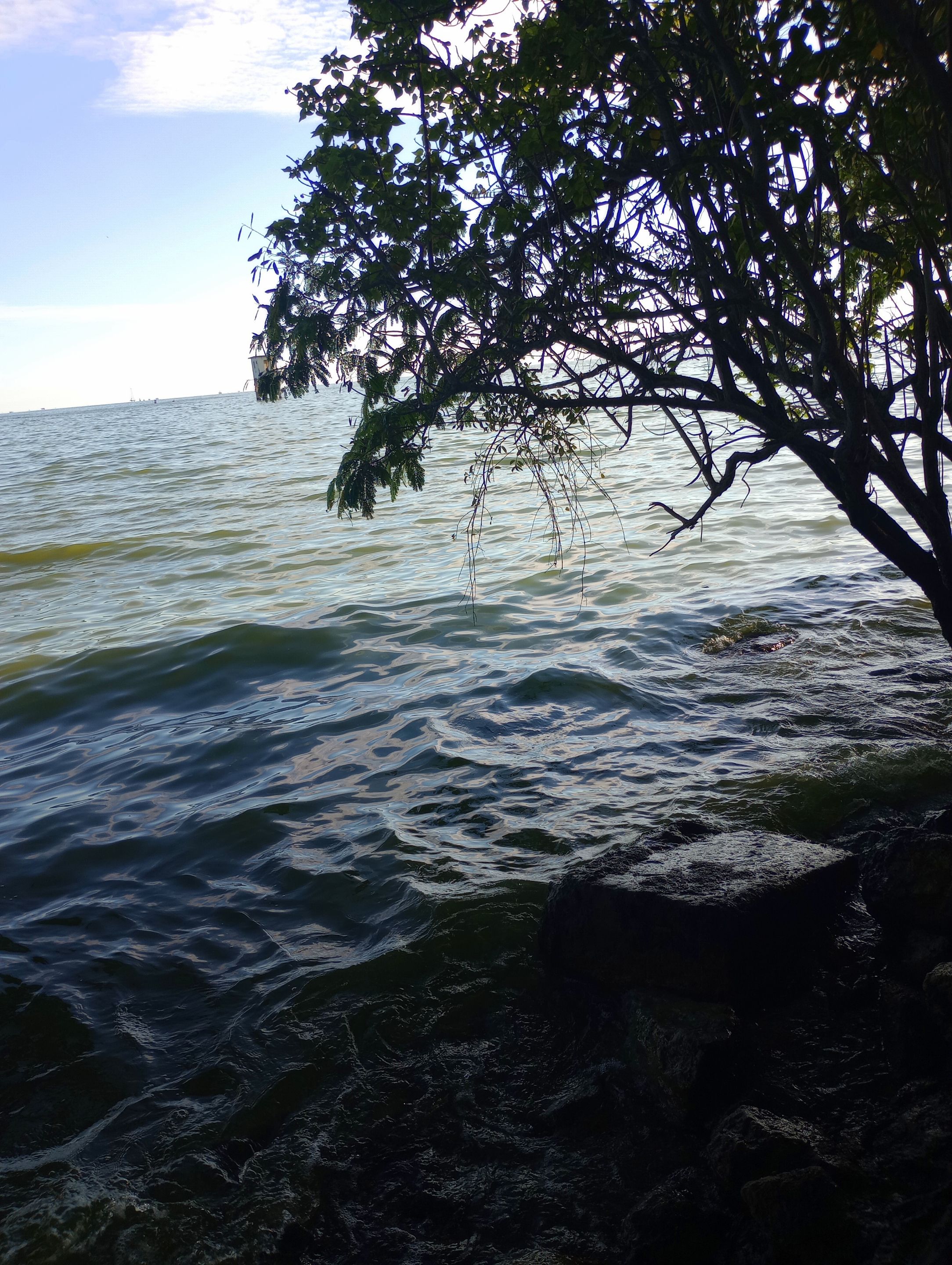 IMG_20250509_171725708_MP.jpg