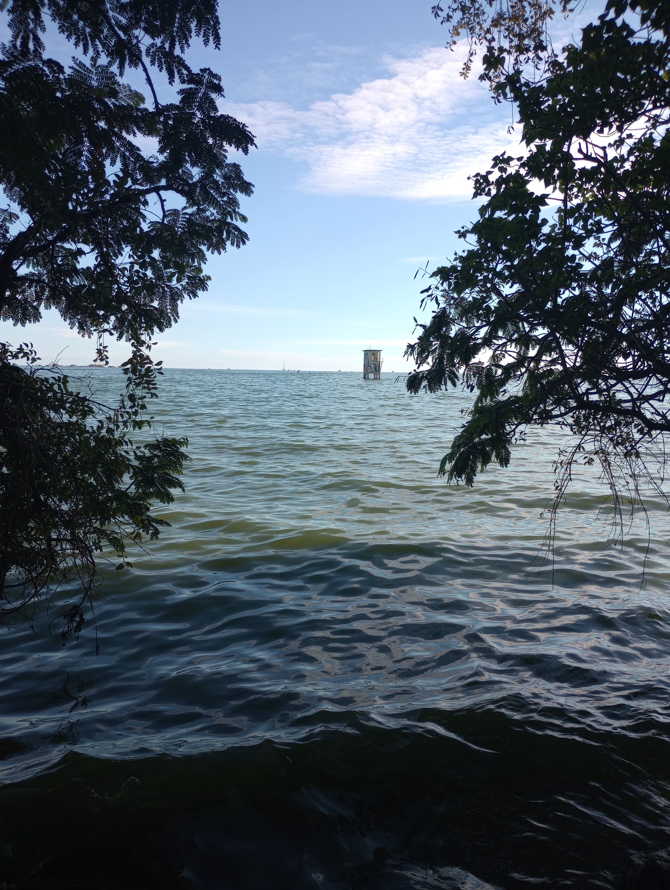IMG_20250509_171715657_MP.jpg