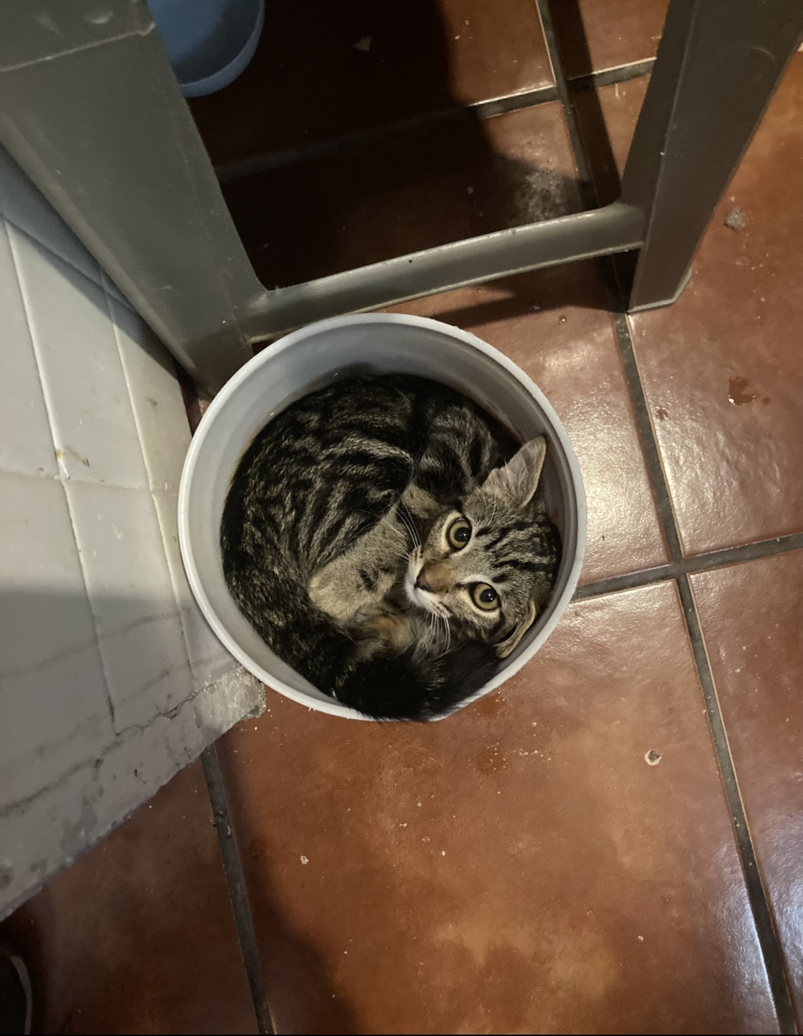 IMG_5702.jpeg