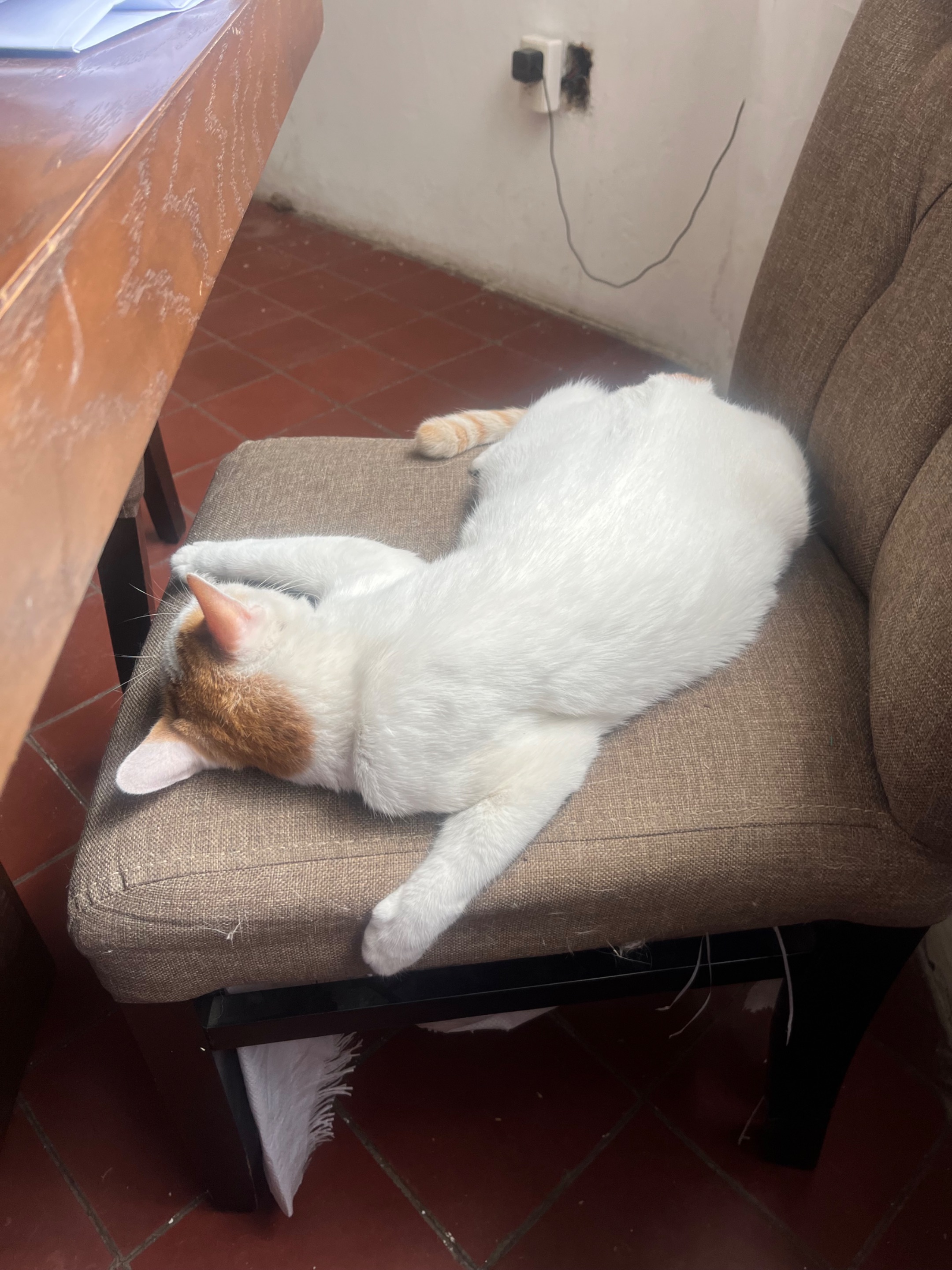 IMG_5636.jpeg
