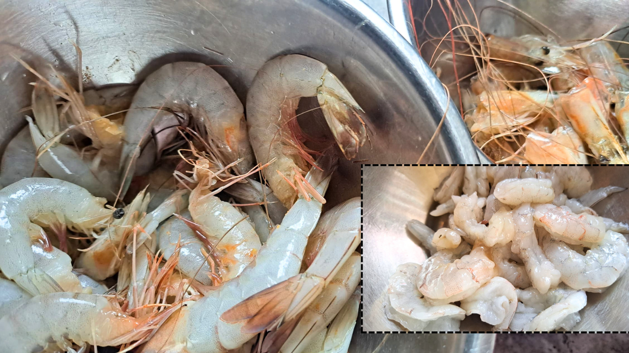 Preperando ceviche de camarón | #FoodieMood | Esp-Eng
