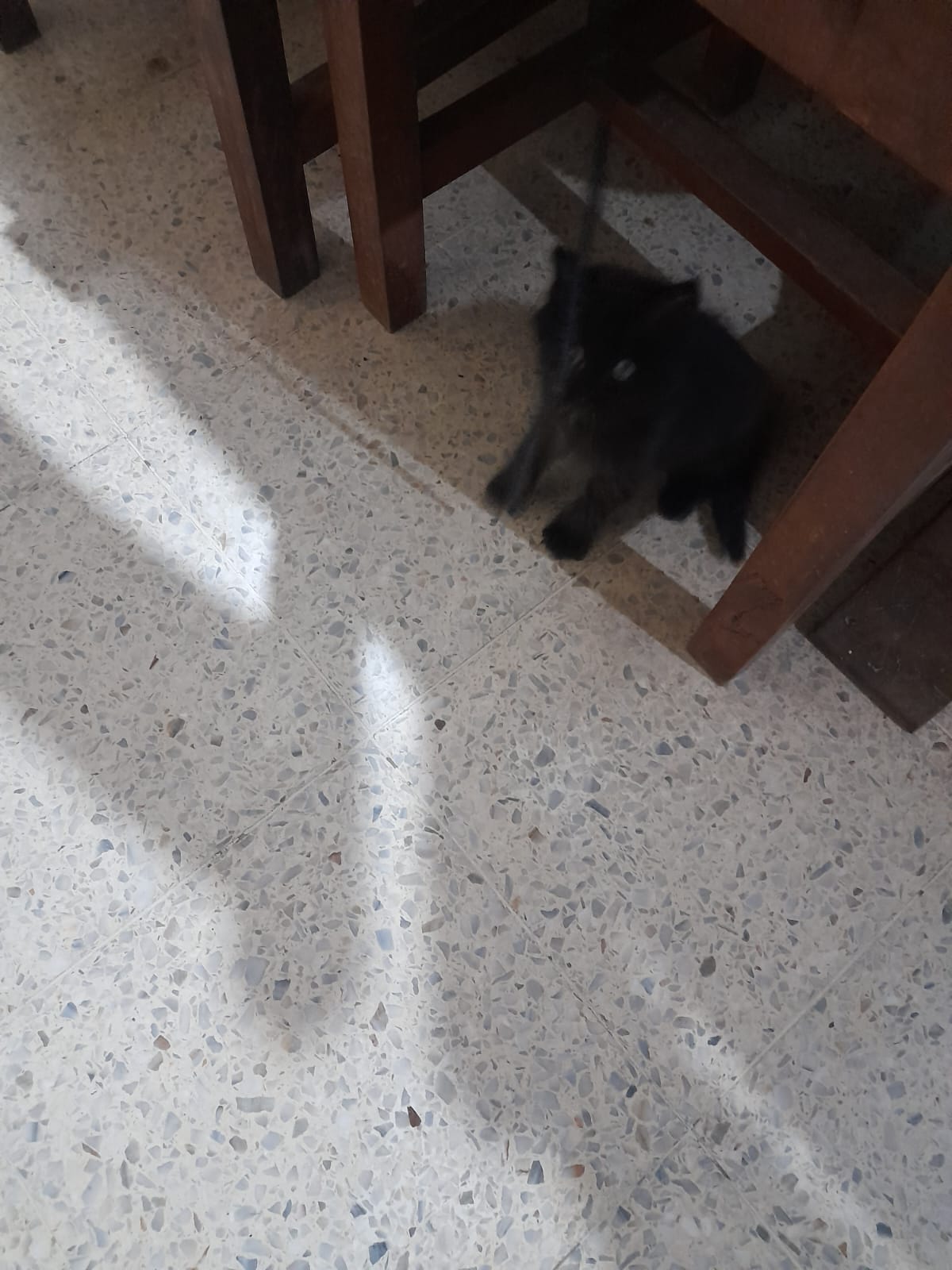 WhatsApp Image 2025-09-22 at 18.53.12.jpeg