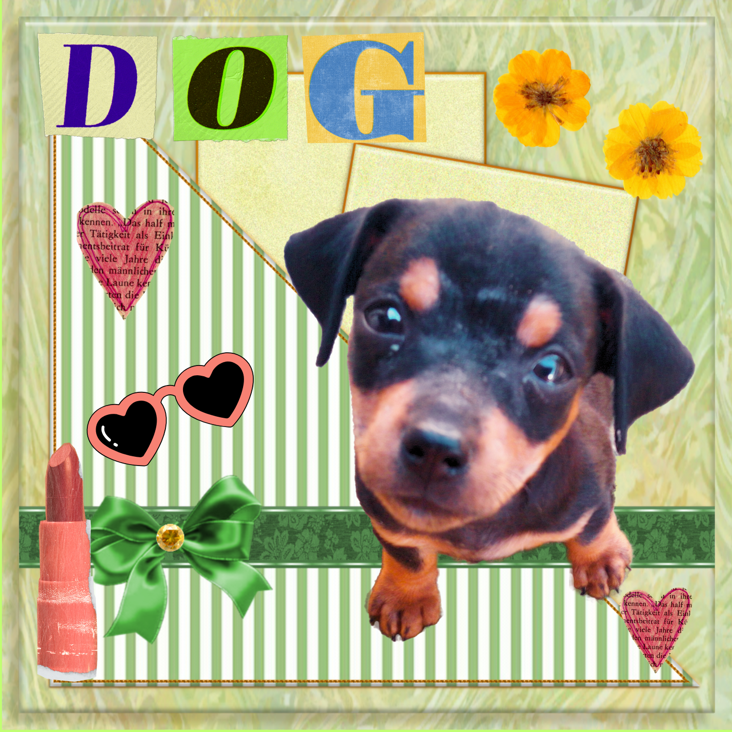 by eve66 animal Charity2.png