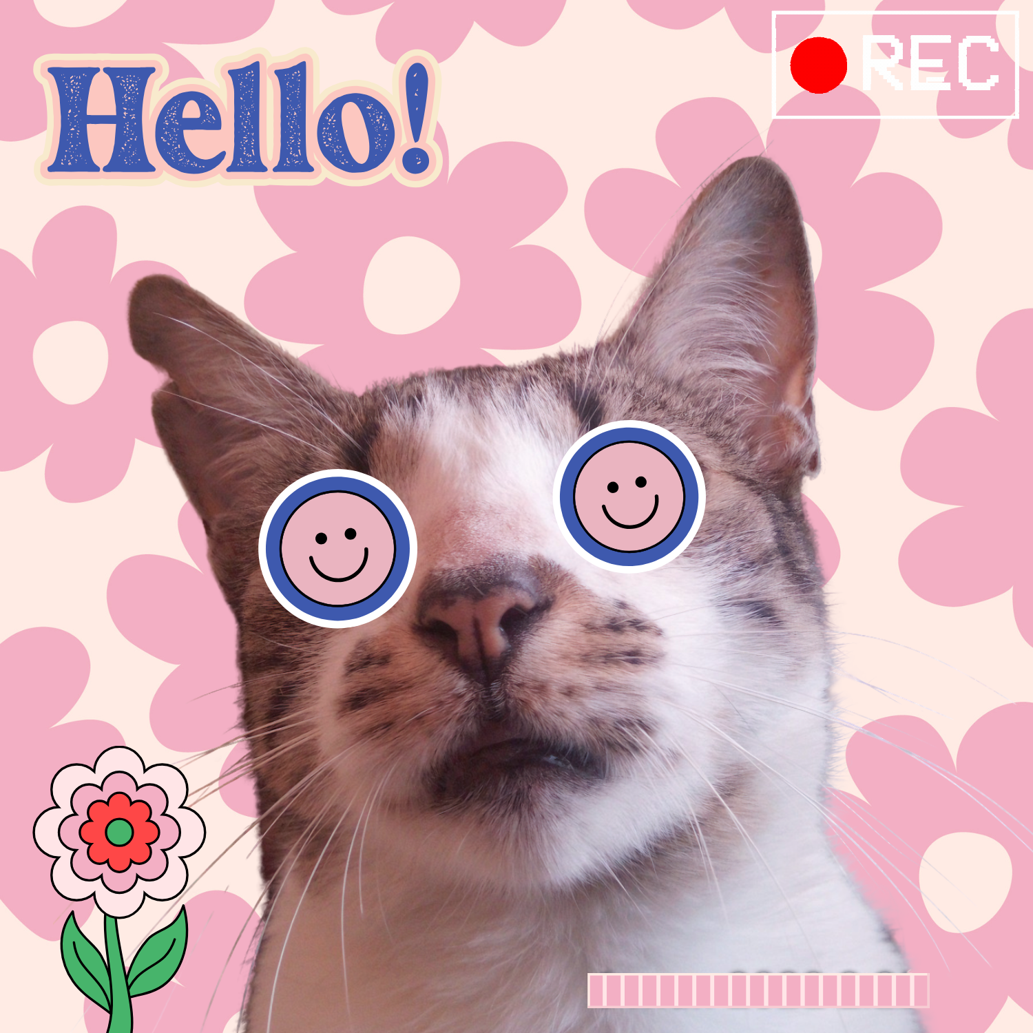 by eve66 animal Charity.png