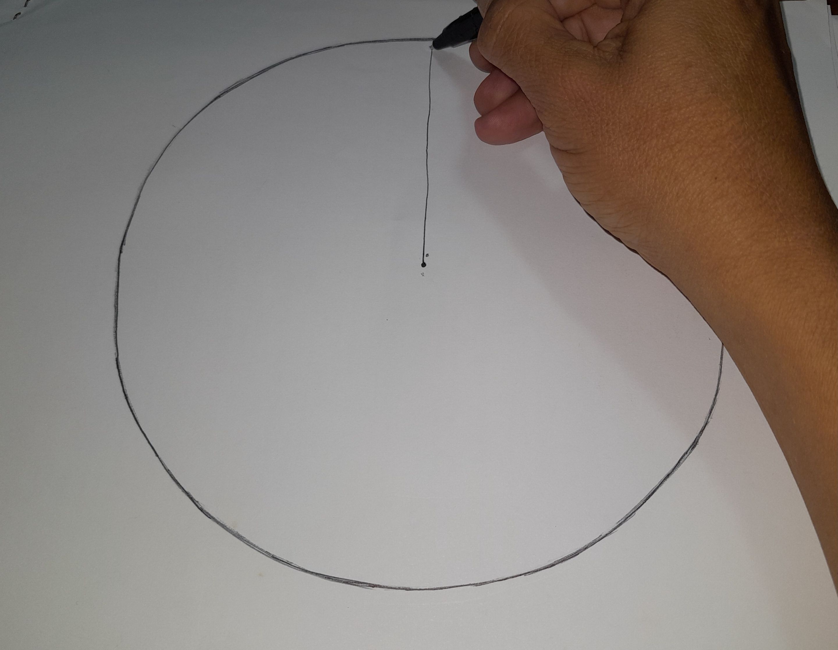 1000165040.jpg