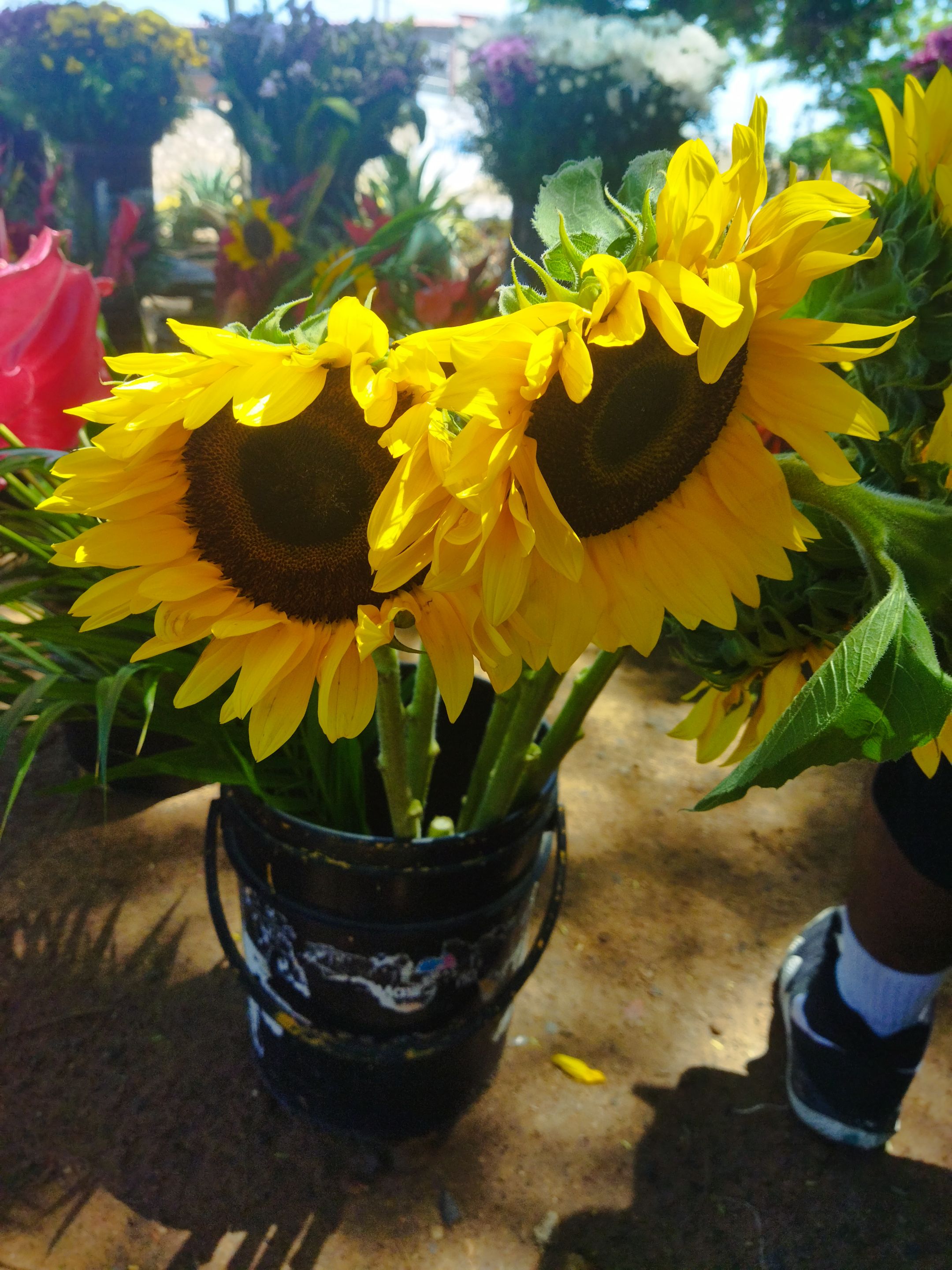IMG_20250815_104127.jpg