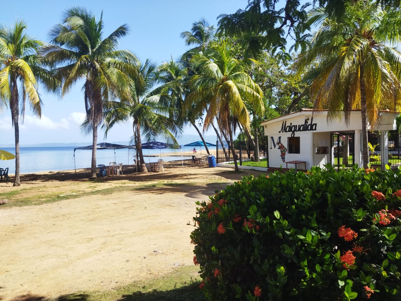 Imagen de WhatsApp 2025-10-14 a las 07.37.48_e156ec80.jpg