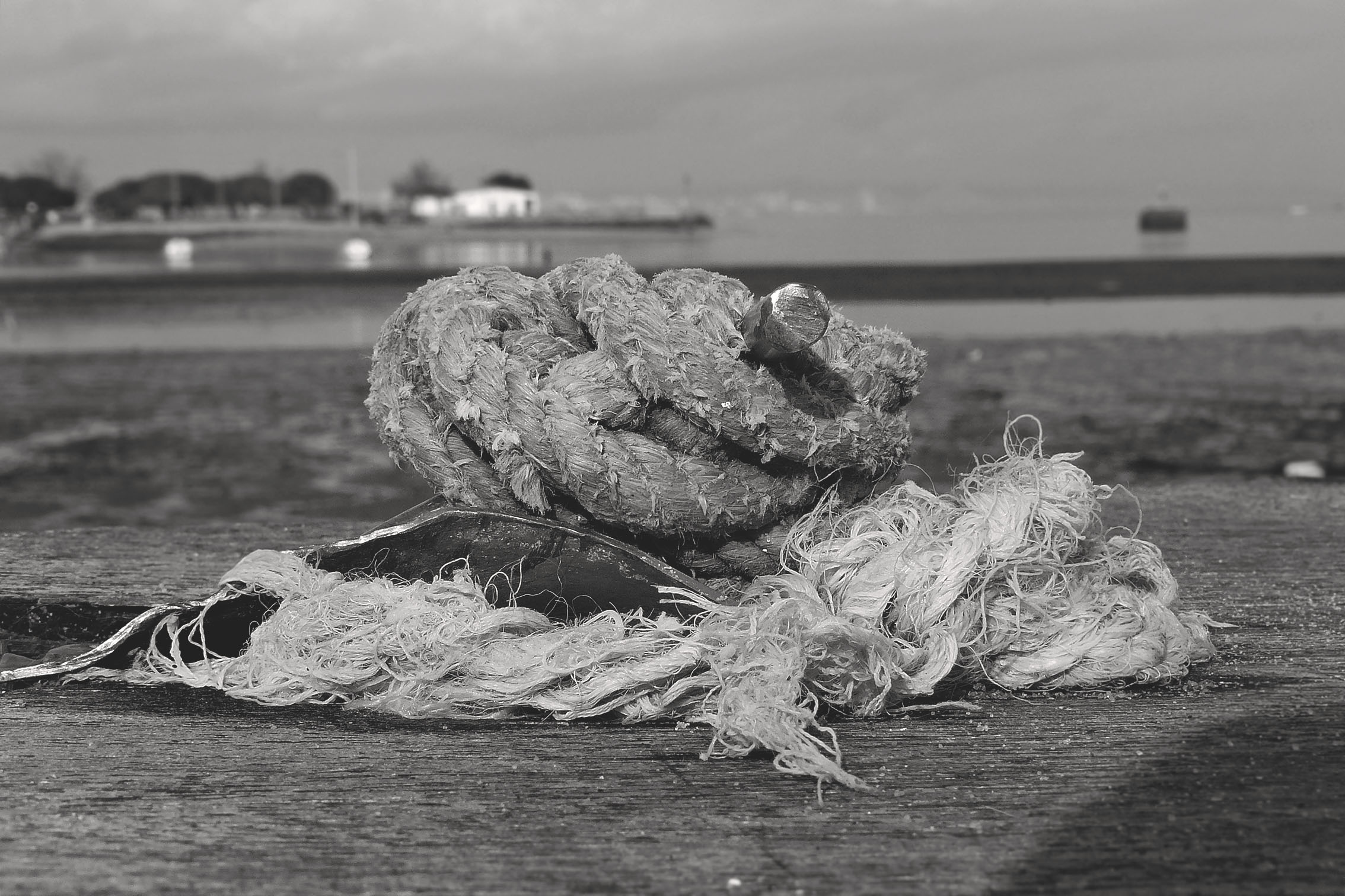 seixal beach rope bw.jpg