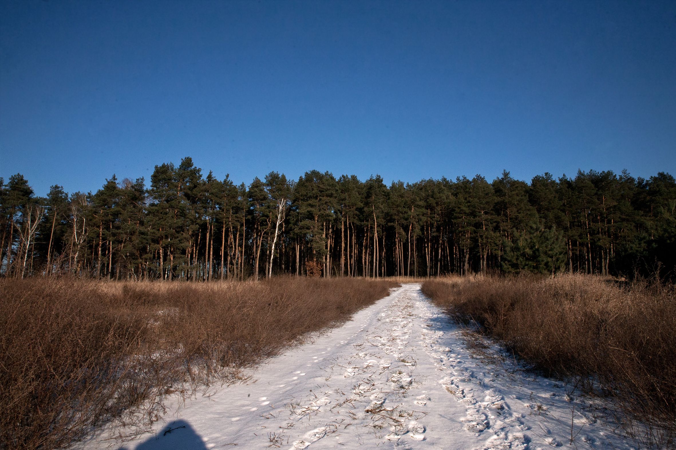 Glinianki winter walk 1.jpg