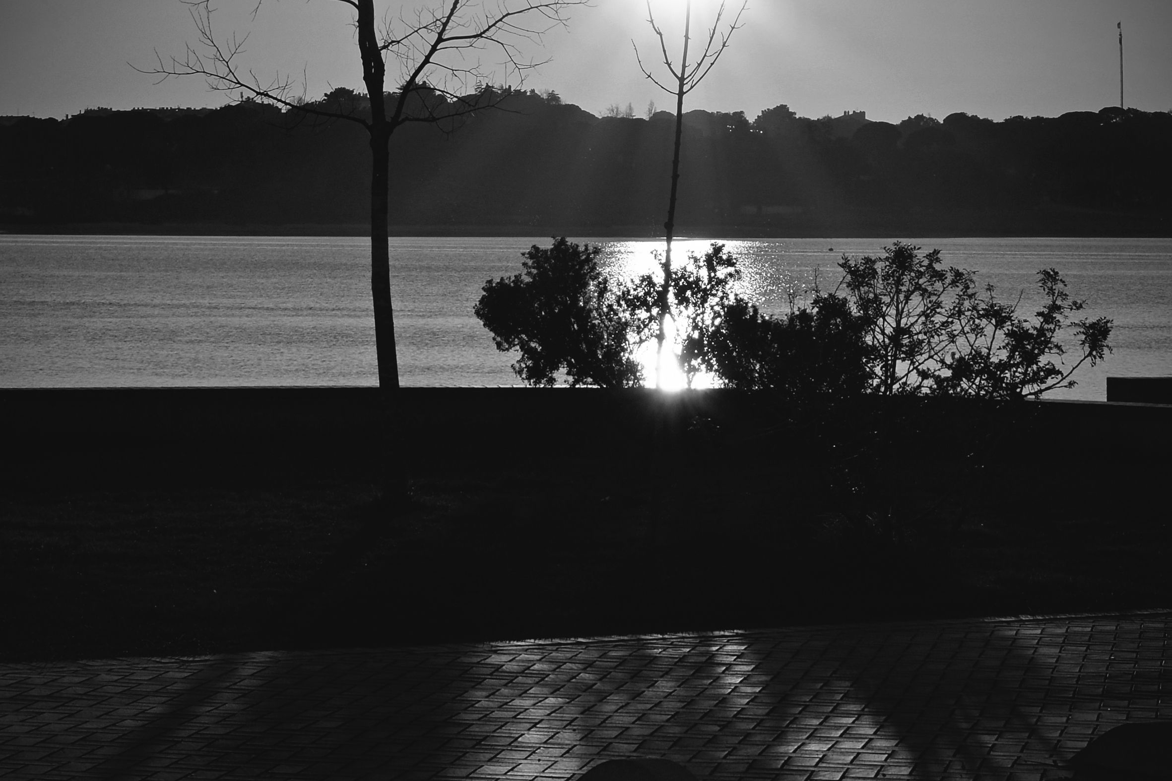 sunset bay bw 5.jpg
