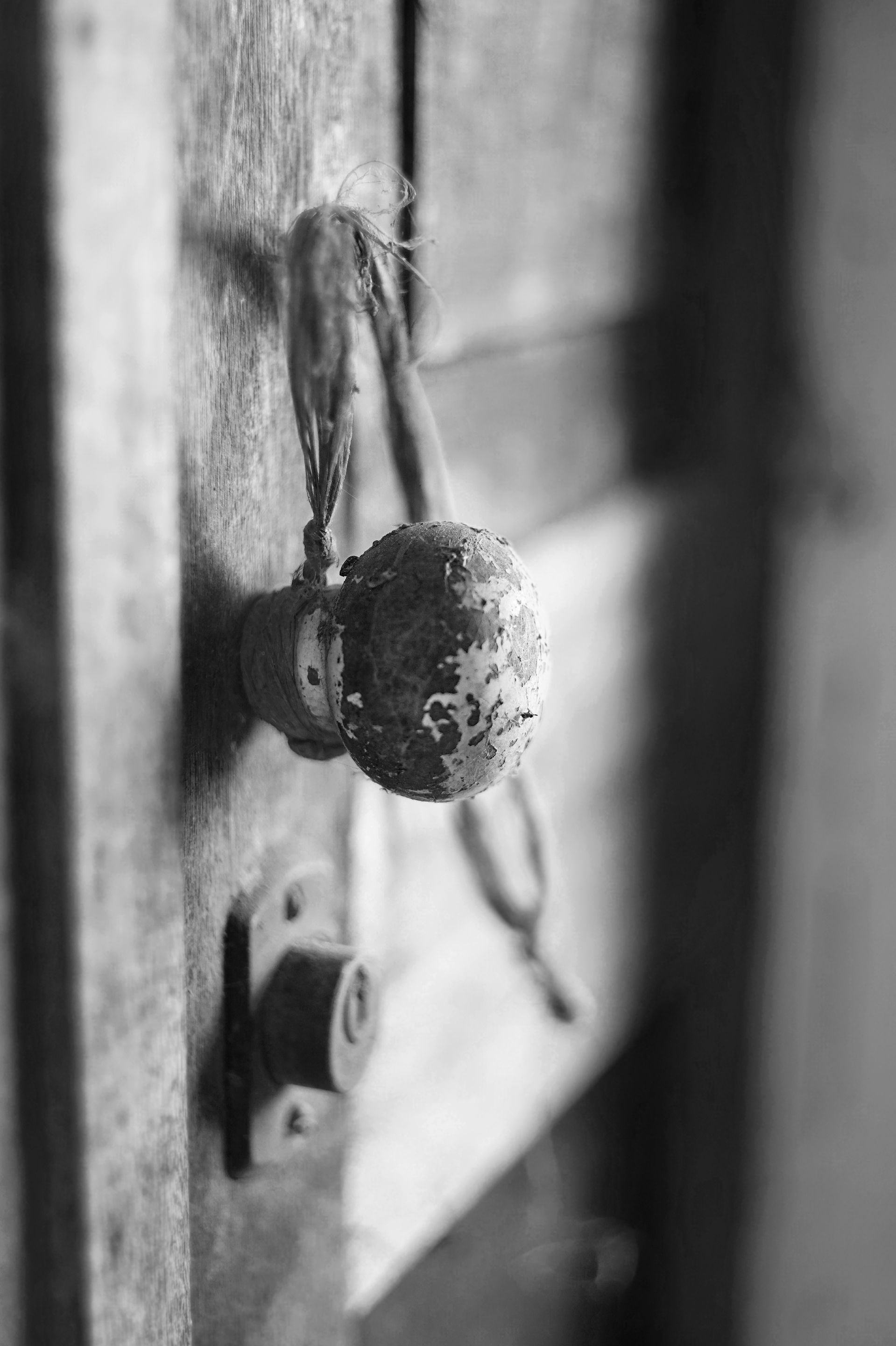 door helios bw 1.jpg