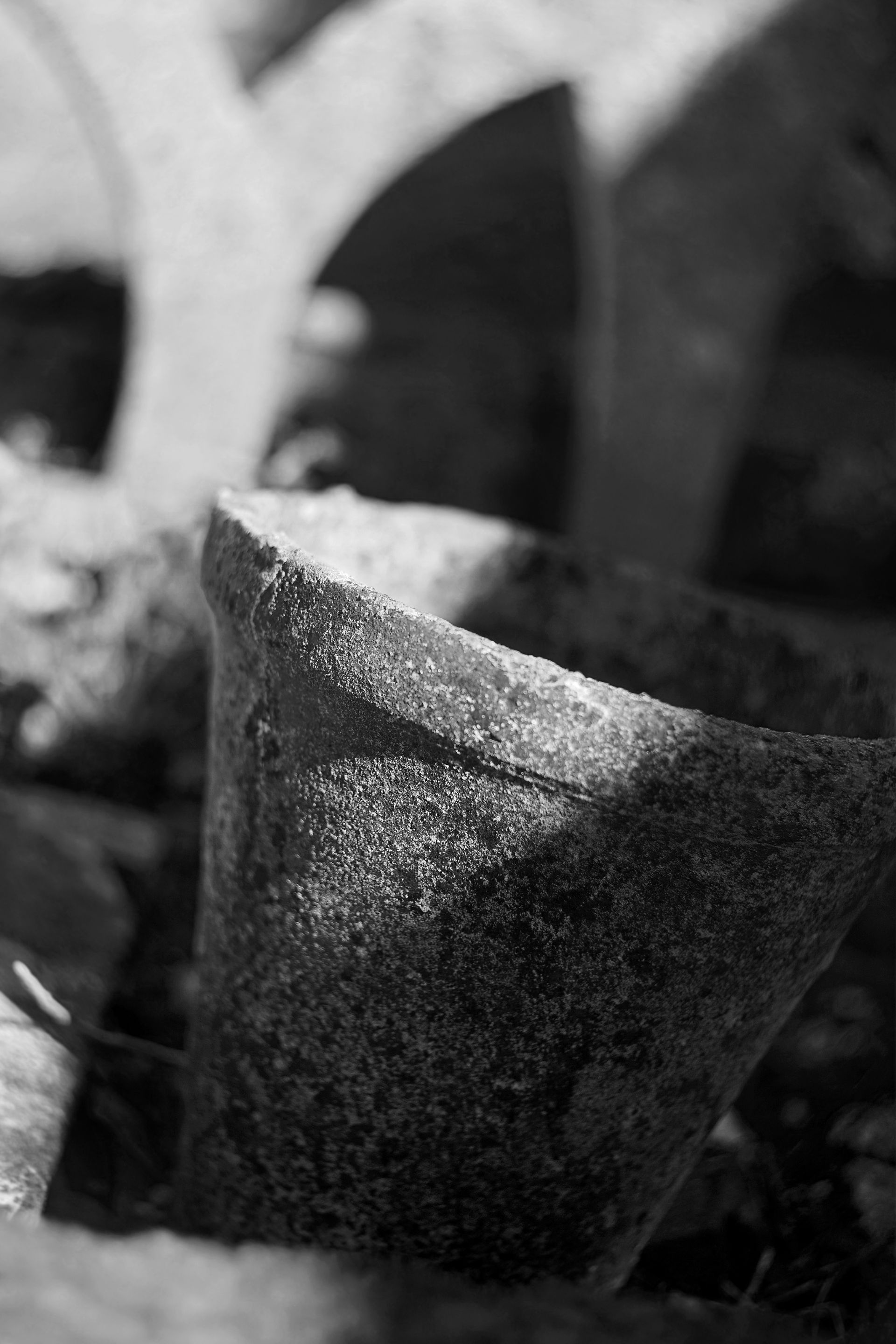 door helios bw 2.jpg