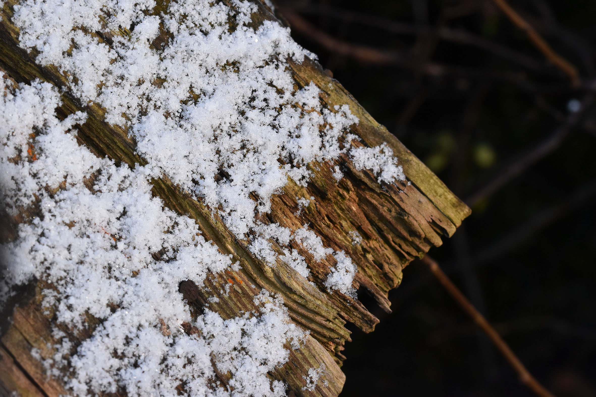 wood winters now.jpg