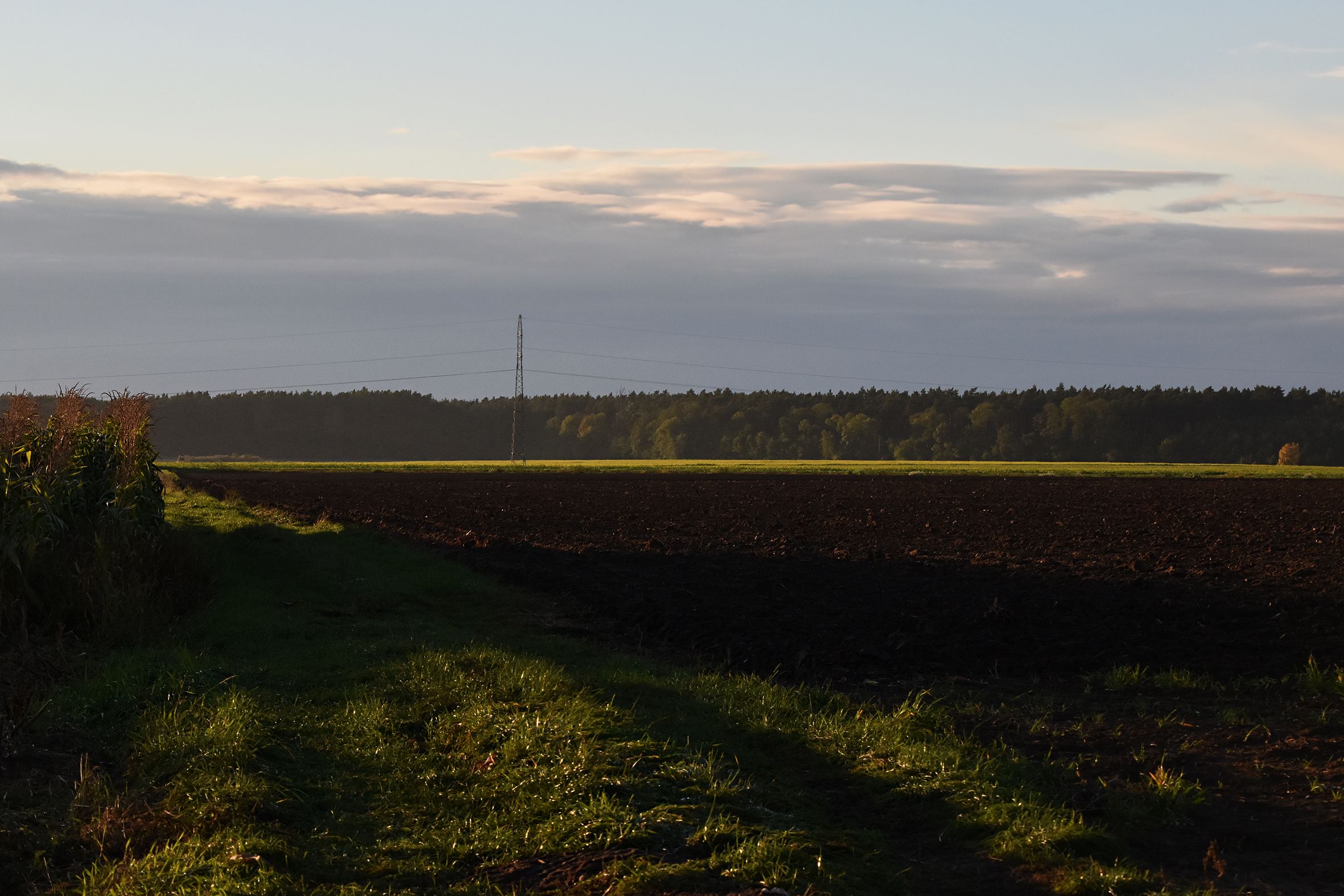 Autumn sunset cornfield 1.jpg