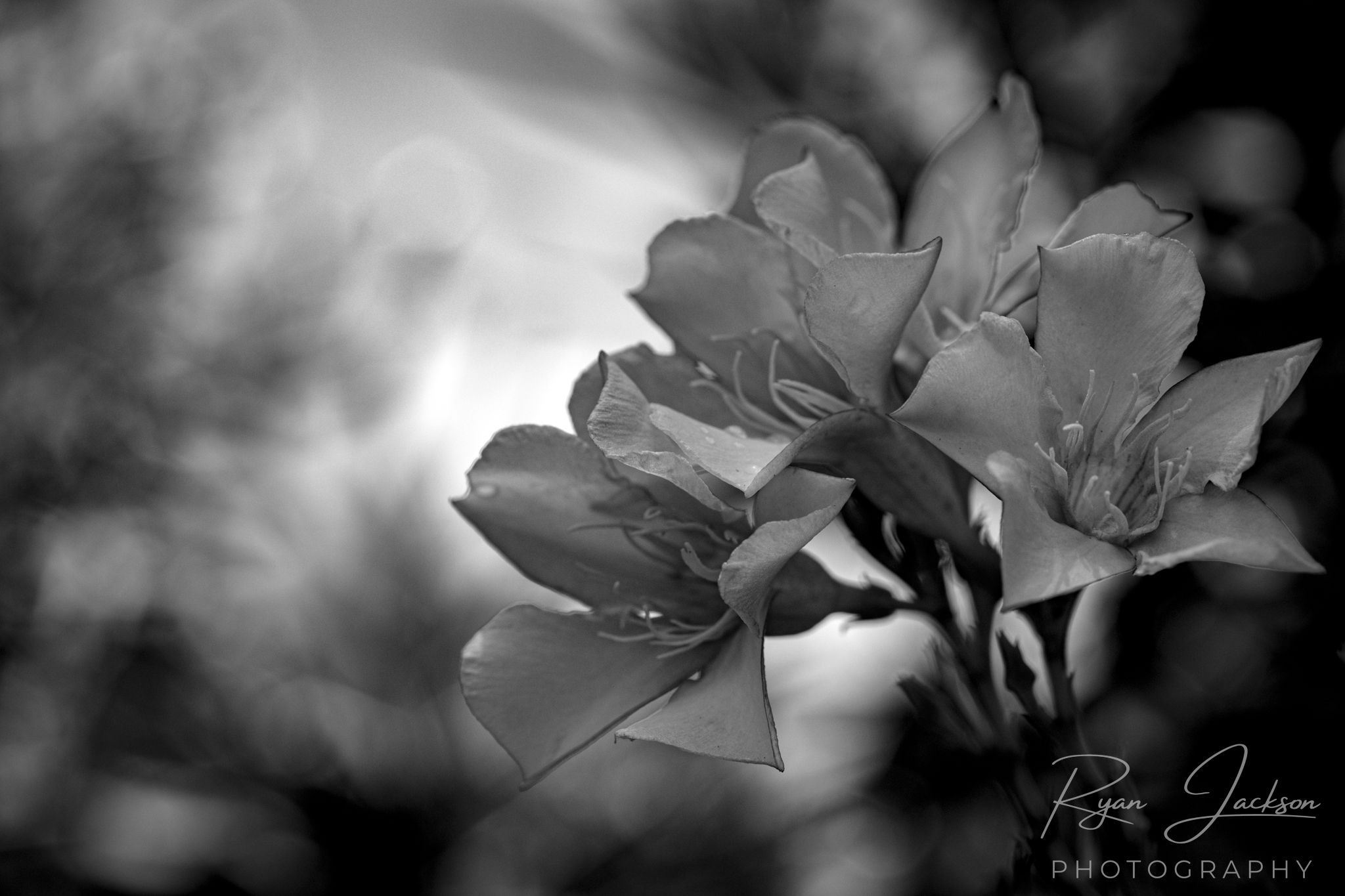 IMG_6969.jpg