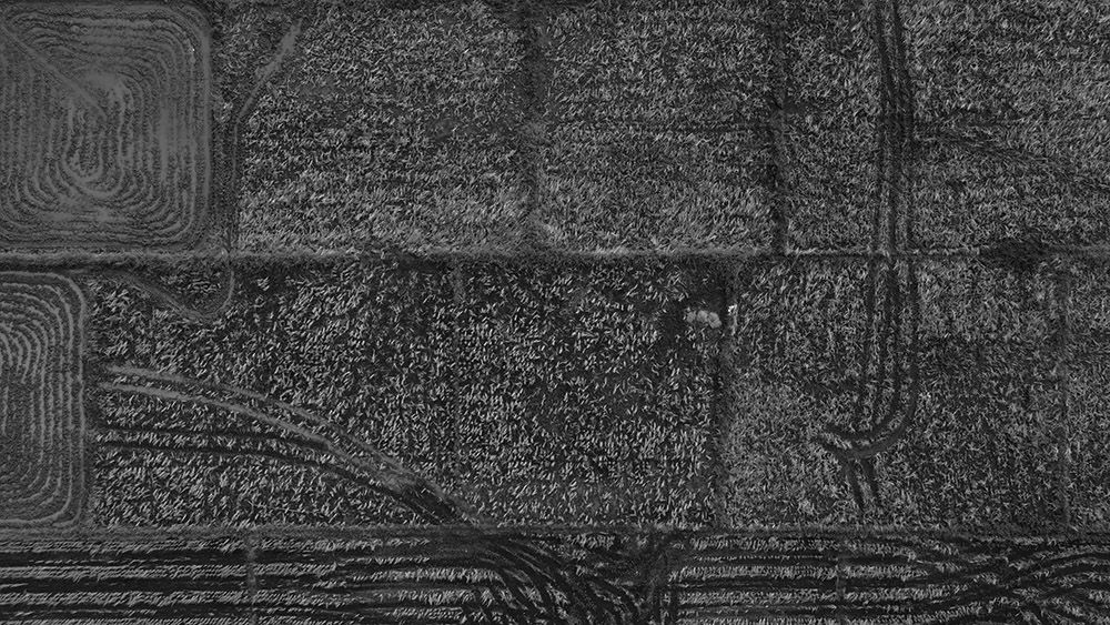 DJI_0067.JPG