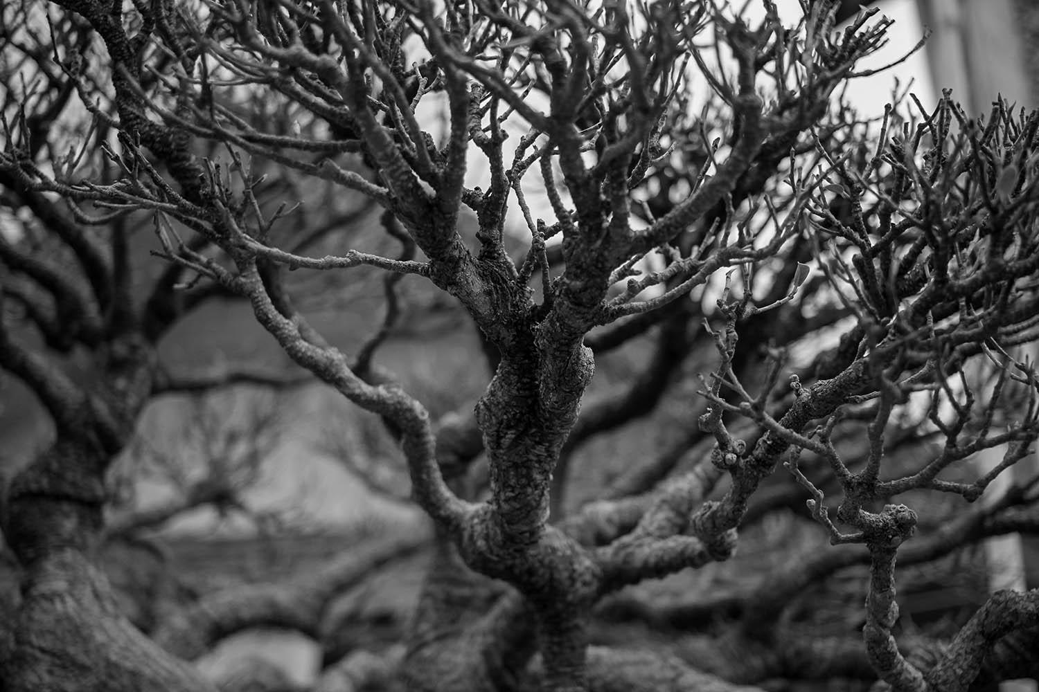 IMG_8765+.jpg