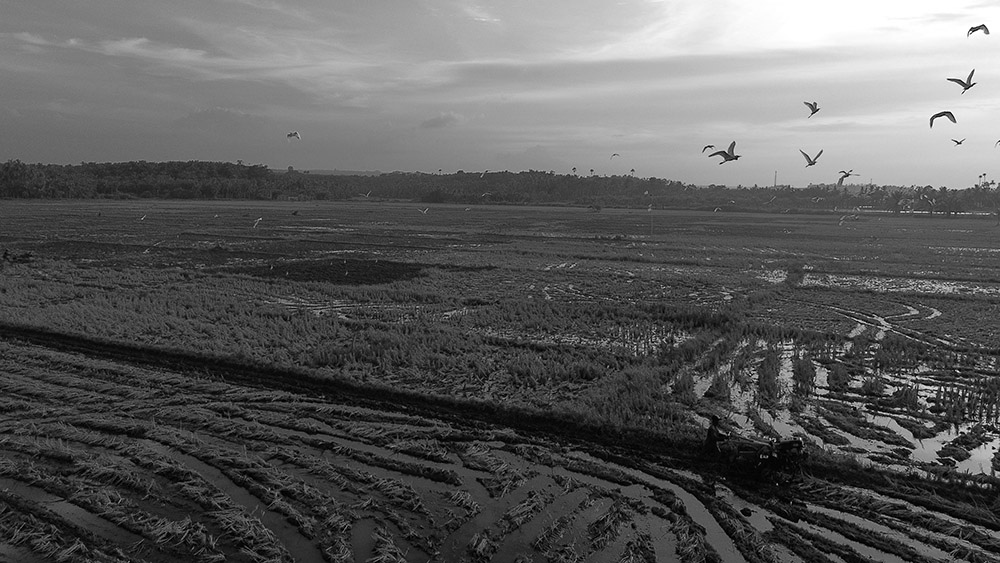 DJI_0049.JPG