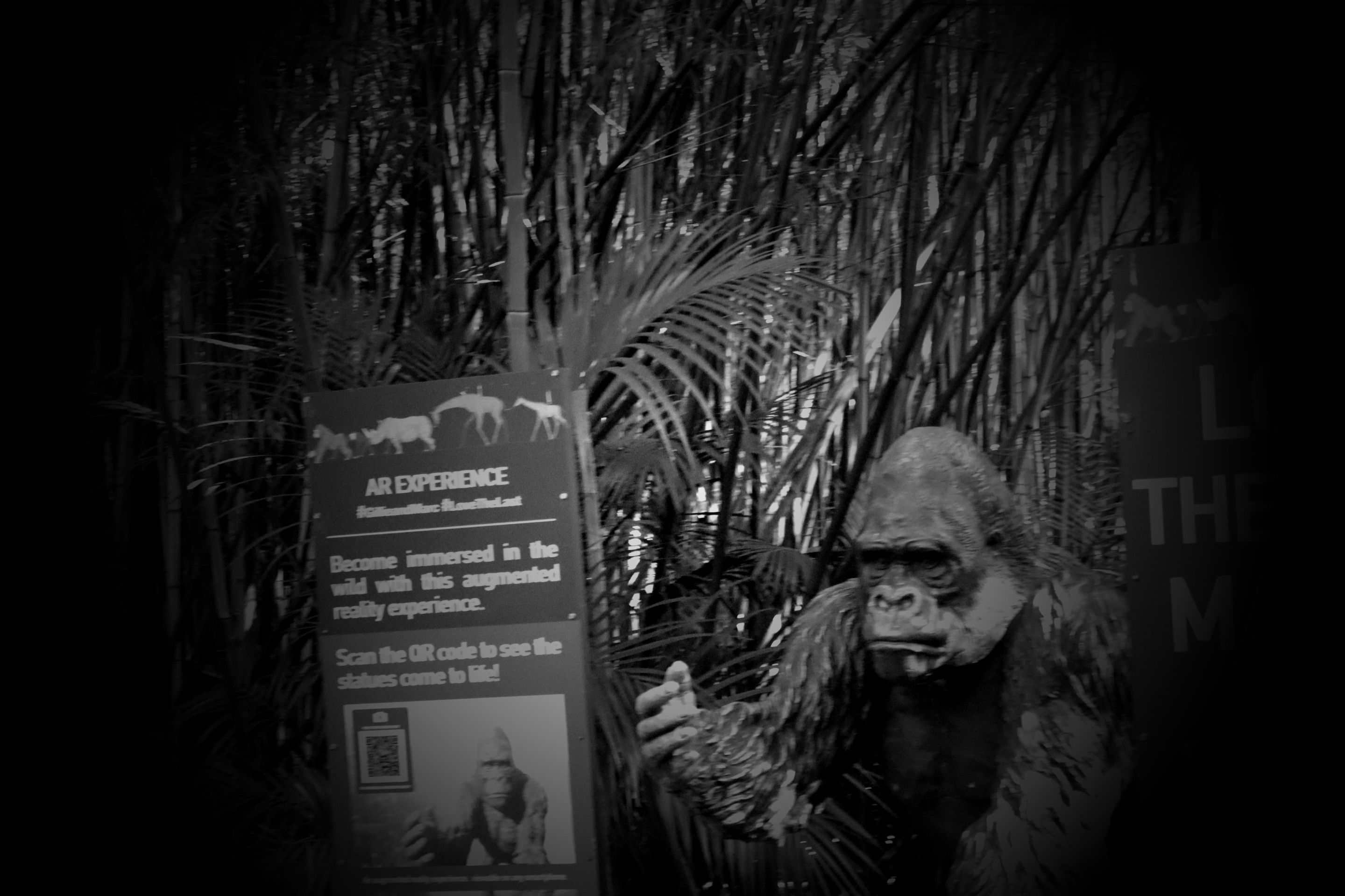 animal_bw_vignette_2.jpg