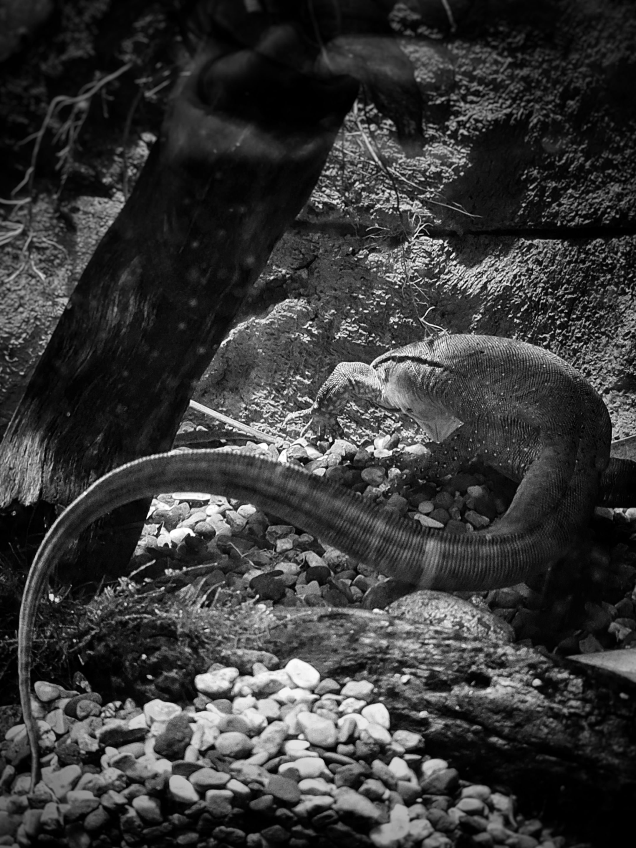 20210626_101158-01.jpeg