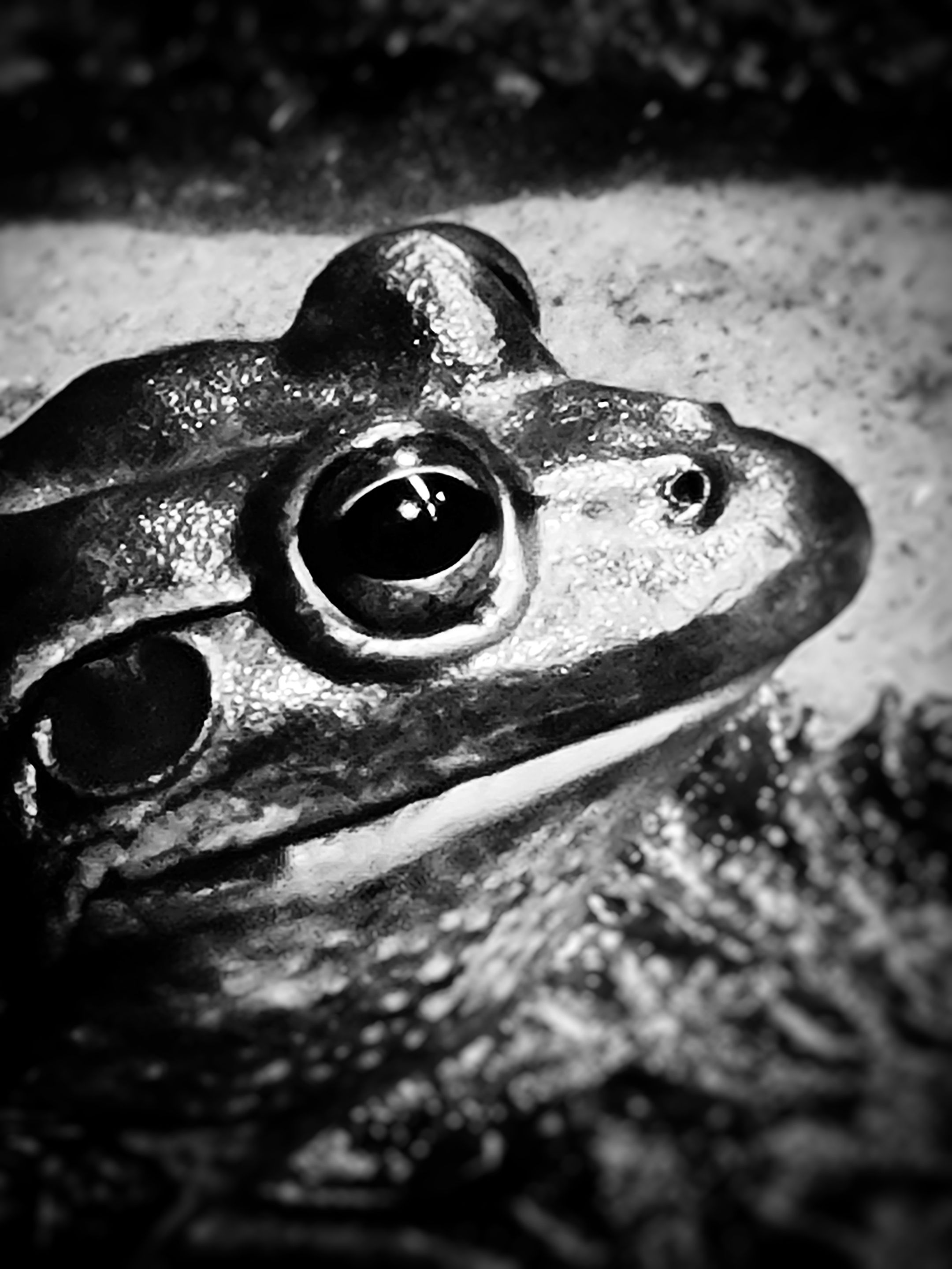 20210626_104904-01.jpeg