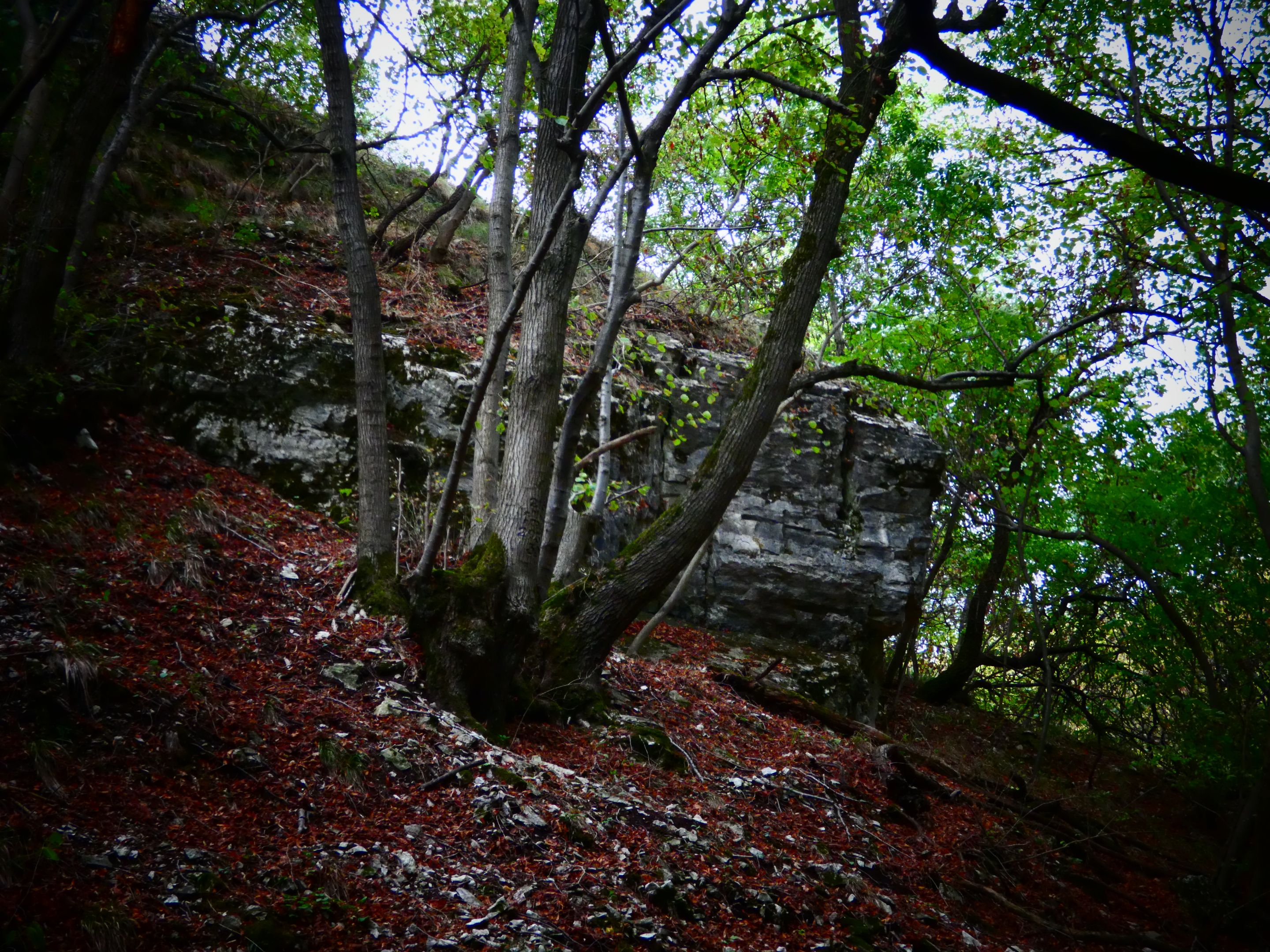 P1490848.JPG