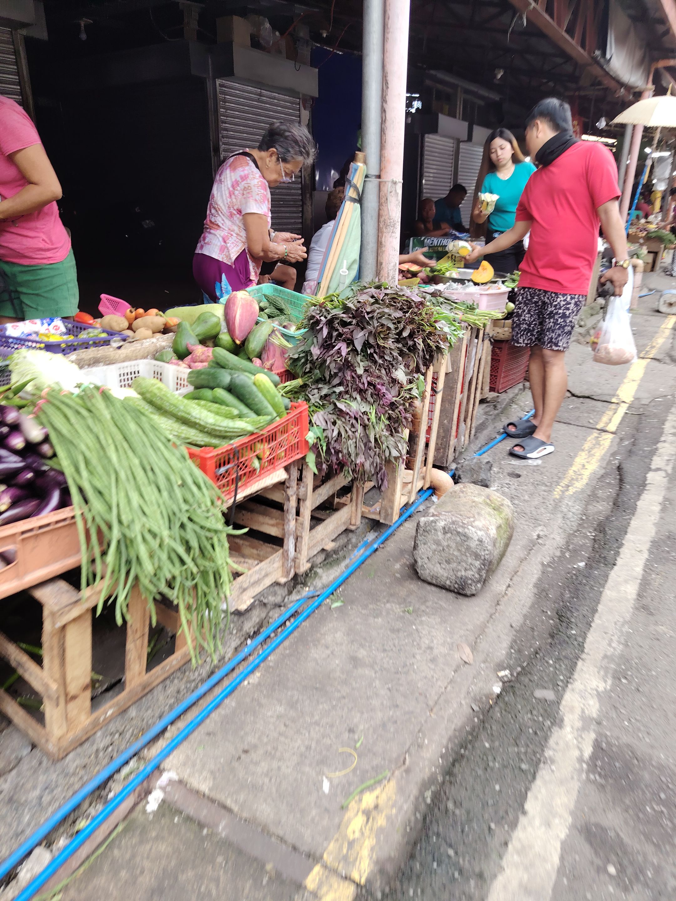 Fresh vegetables on display