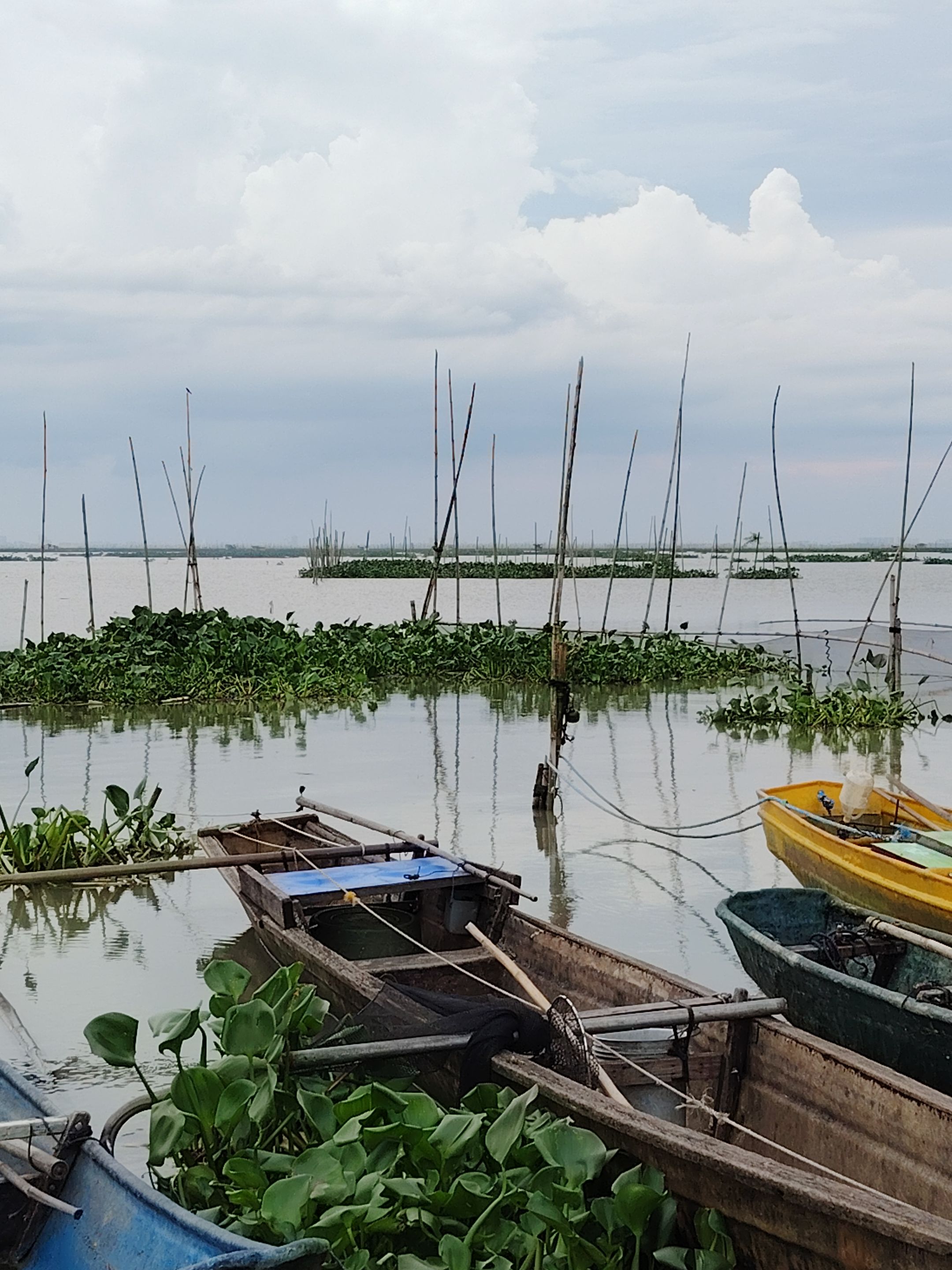 Laguna Lake view with baklad