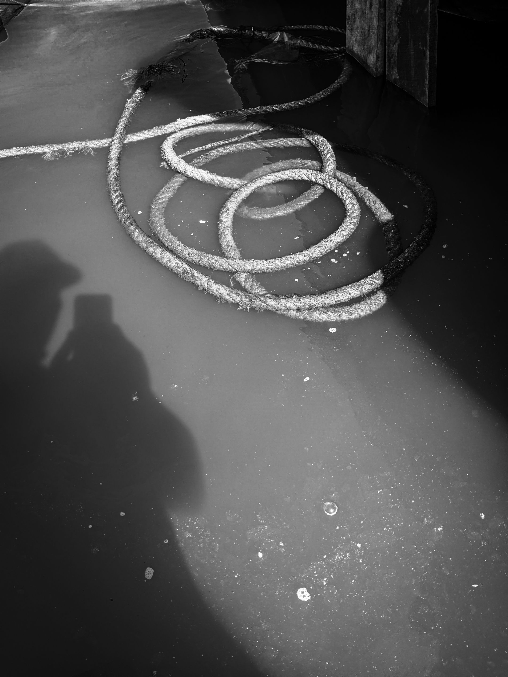 PXL_20240527_092517784.jpg