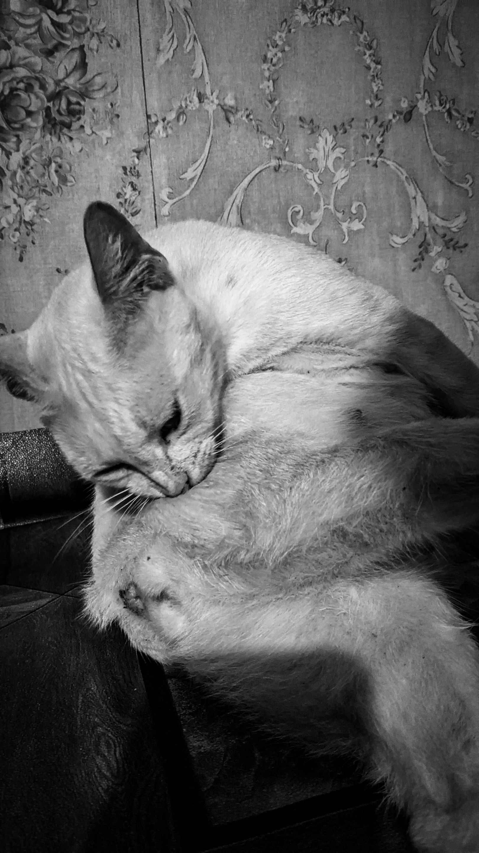 PXL_20250414_005759870.NIGHT.jpg
