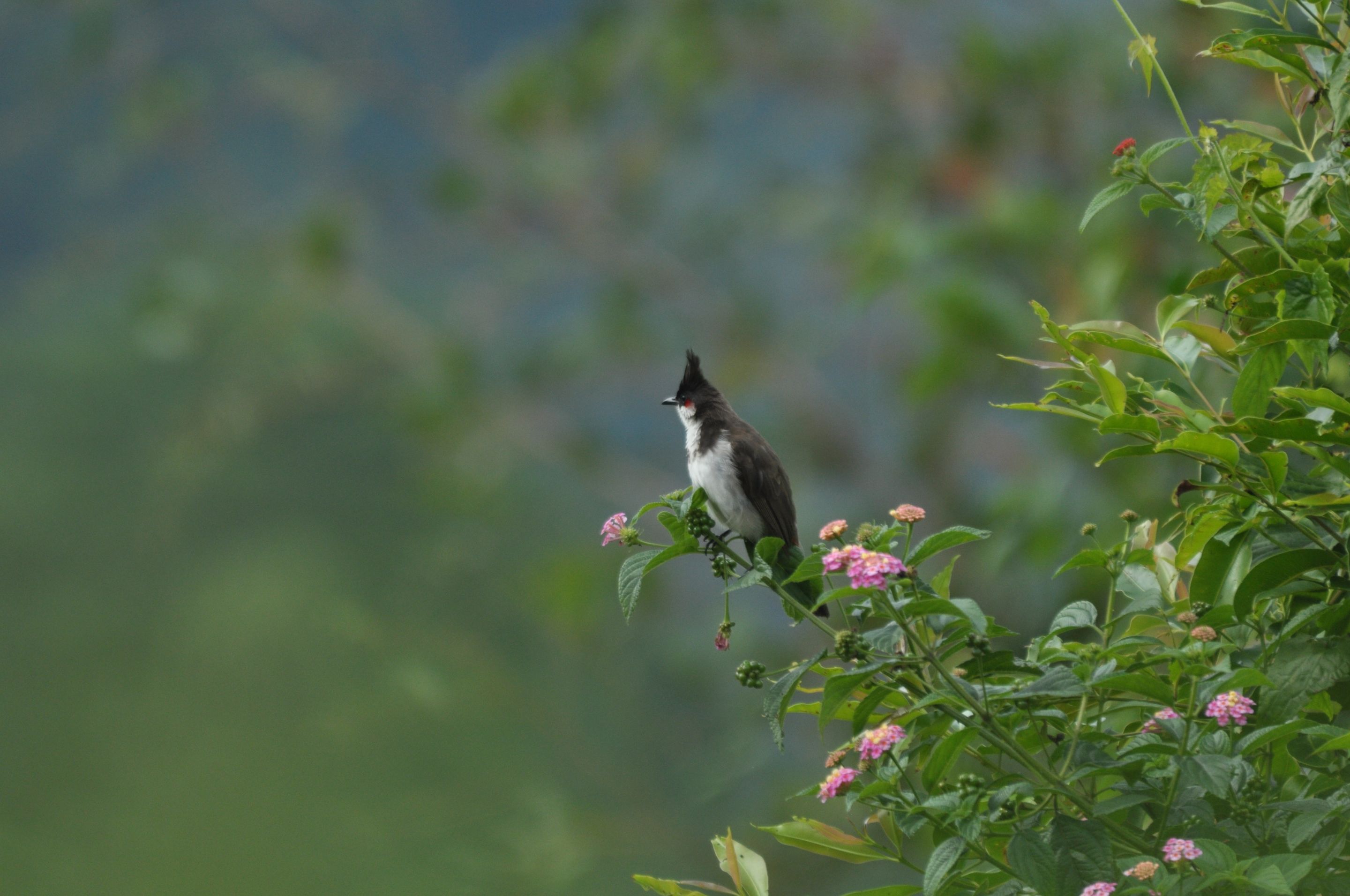 DSC_8042.JPG