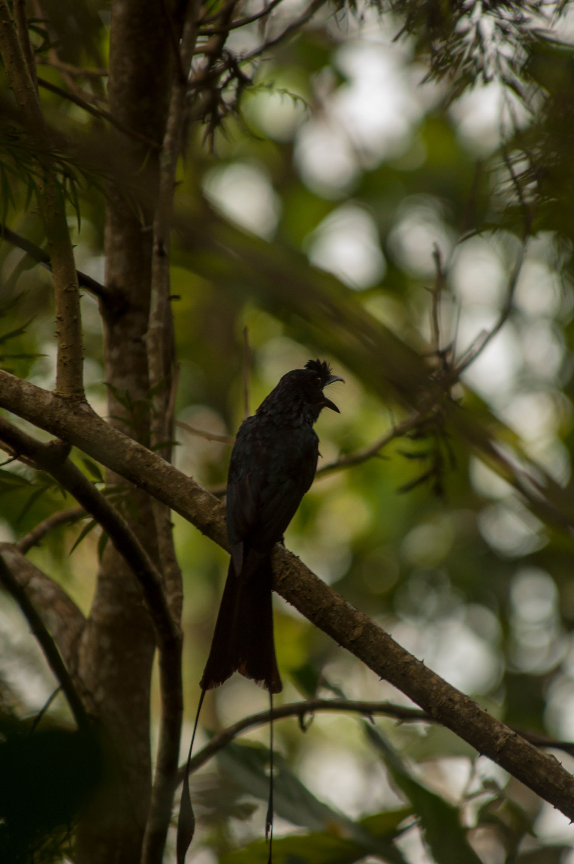 DSC_8958.jpg