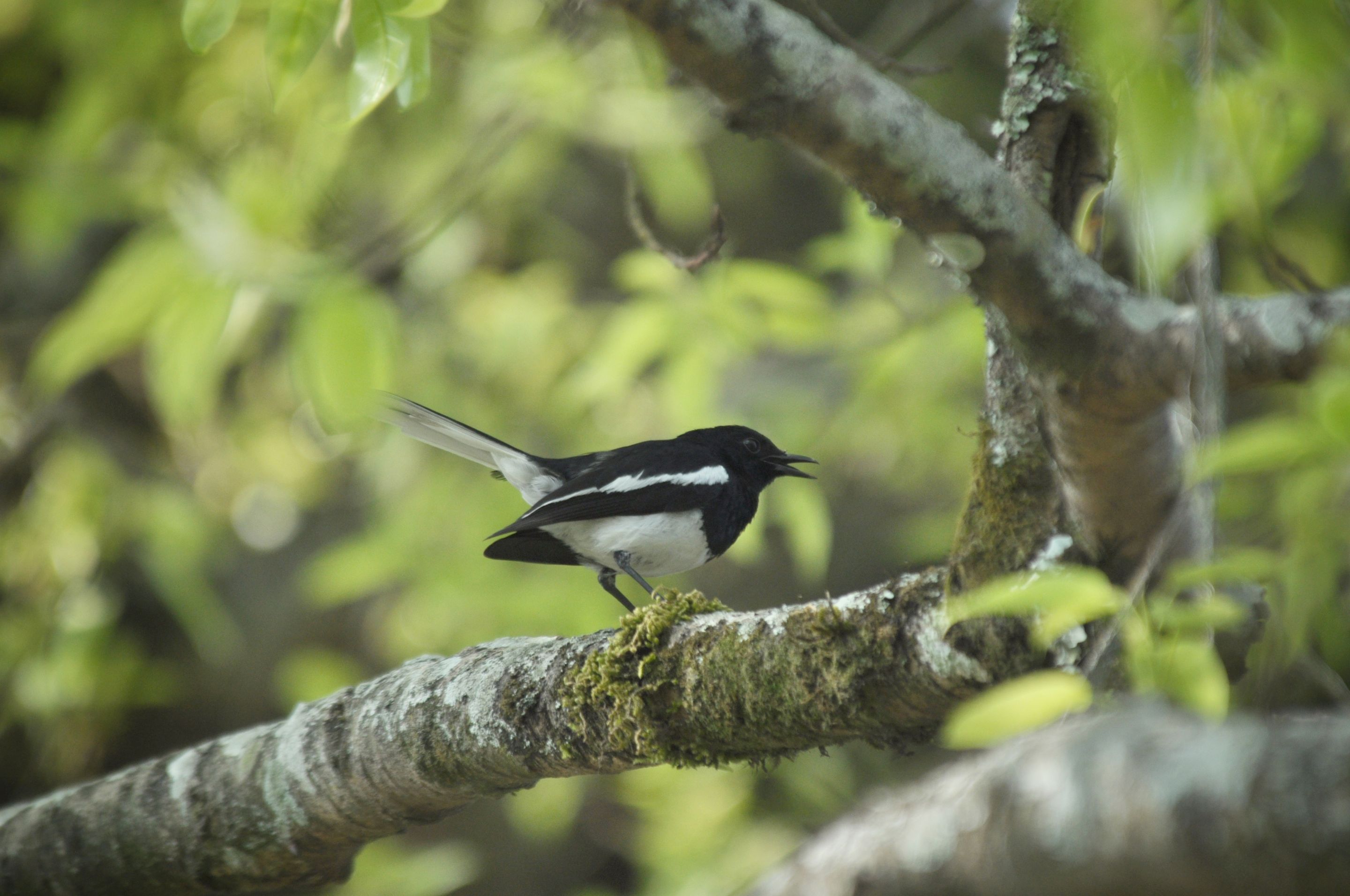 DSC_2489-02.jpeg