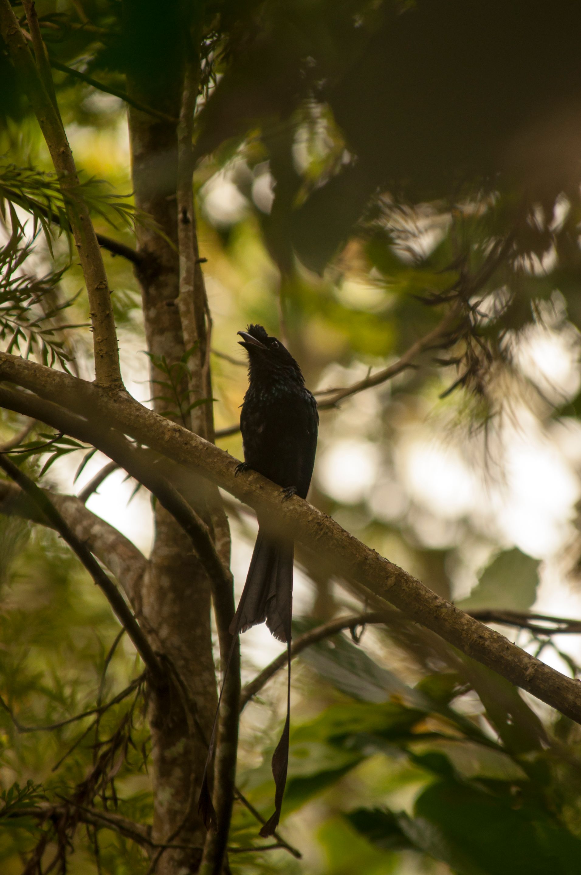 DSC_8991.jpg
