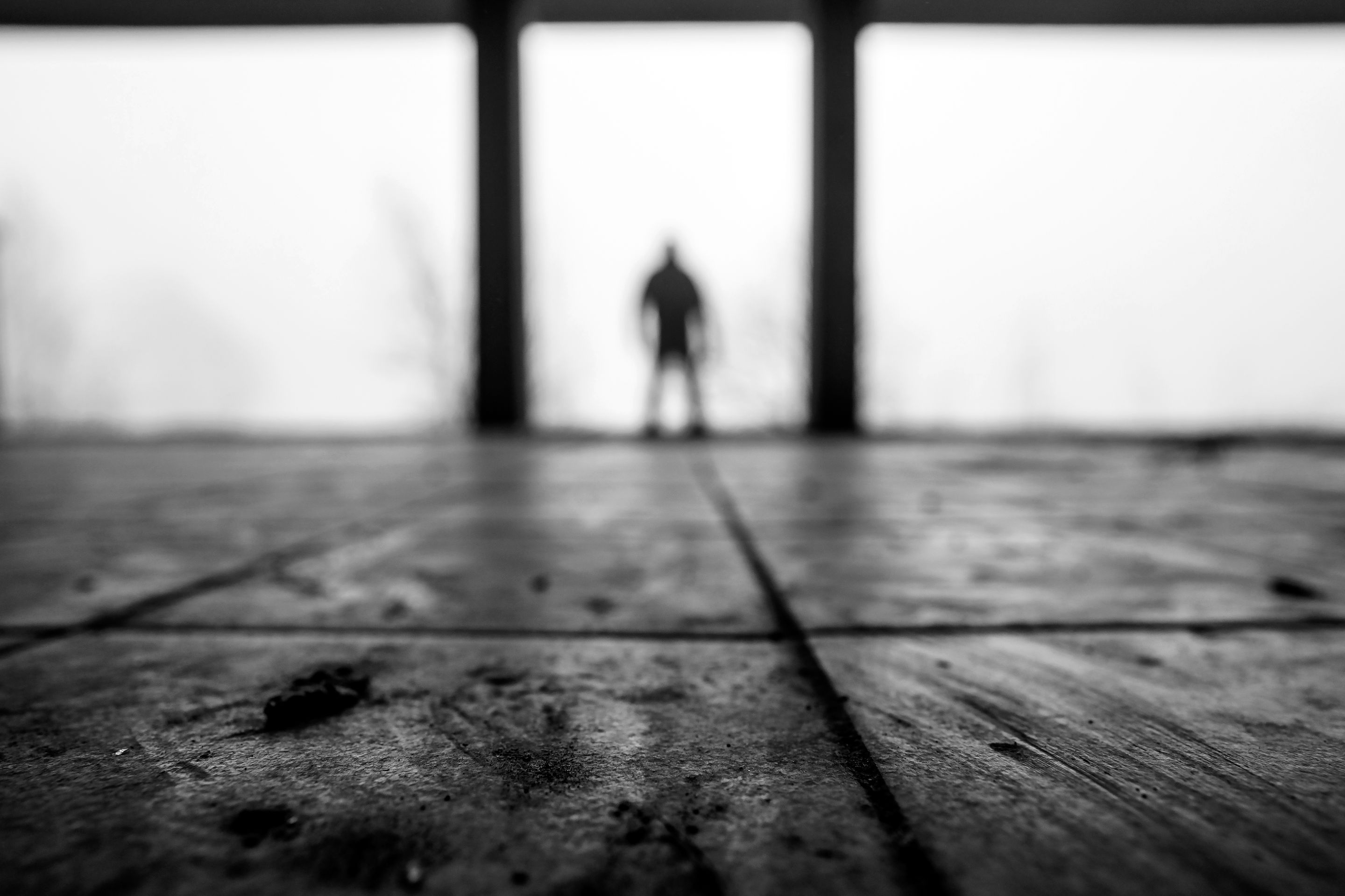 Reservoir-dog2-mono.jpg