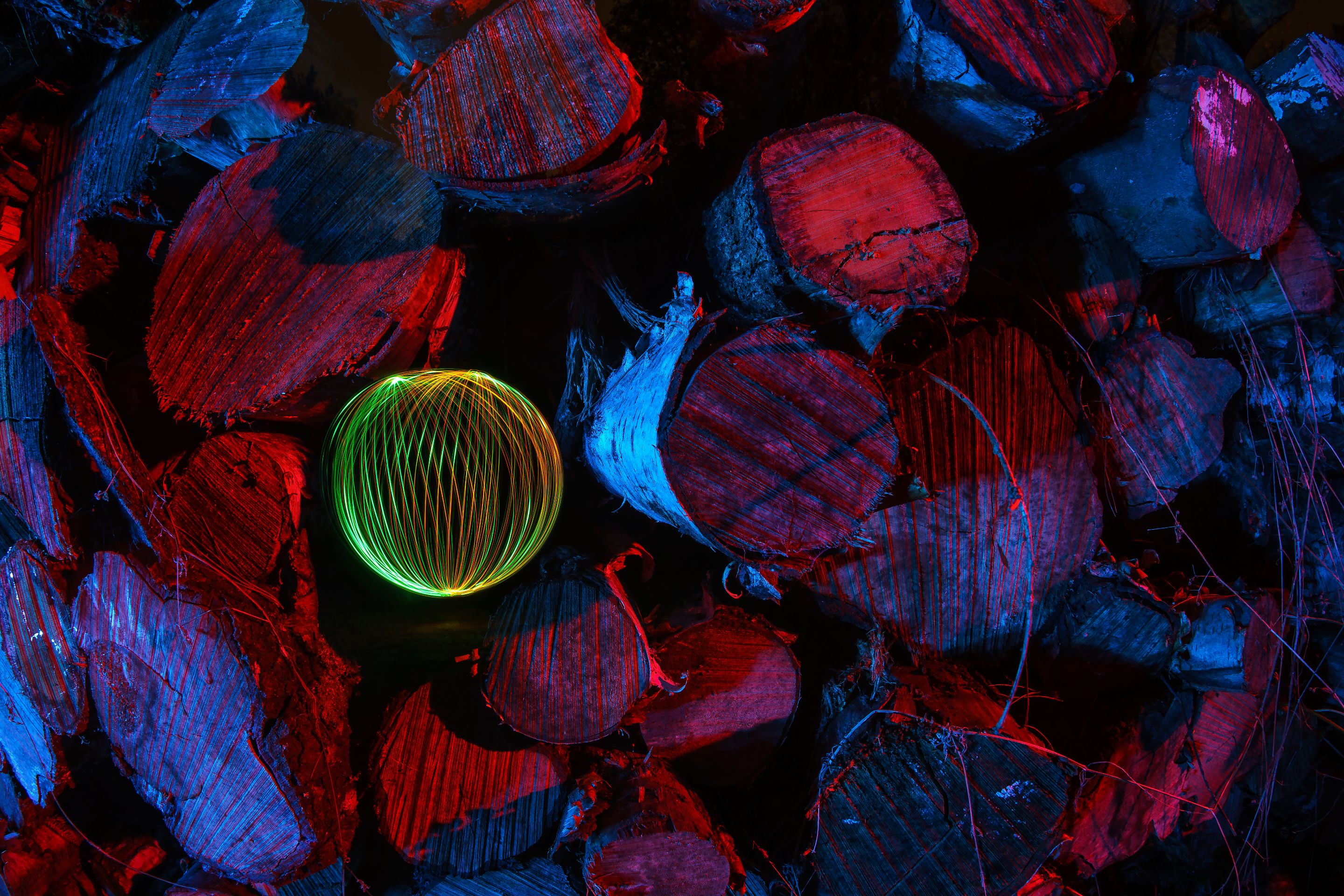 Dendrochronological-Orb2.jpg