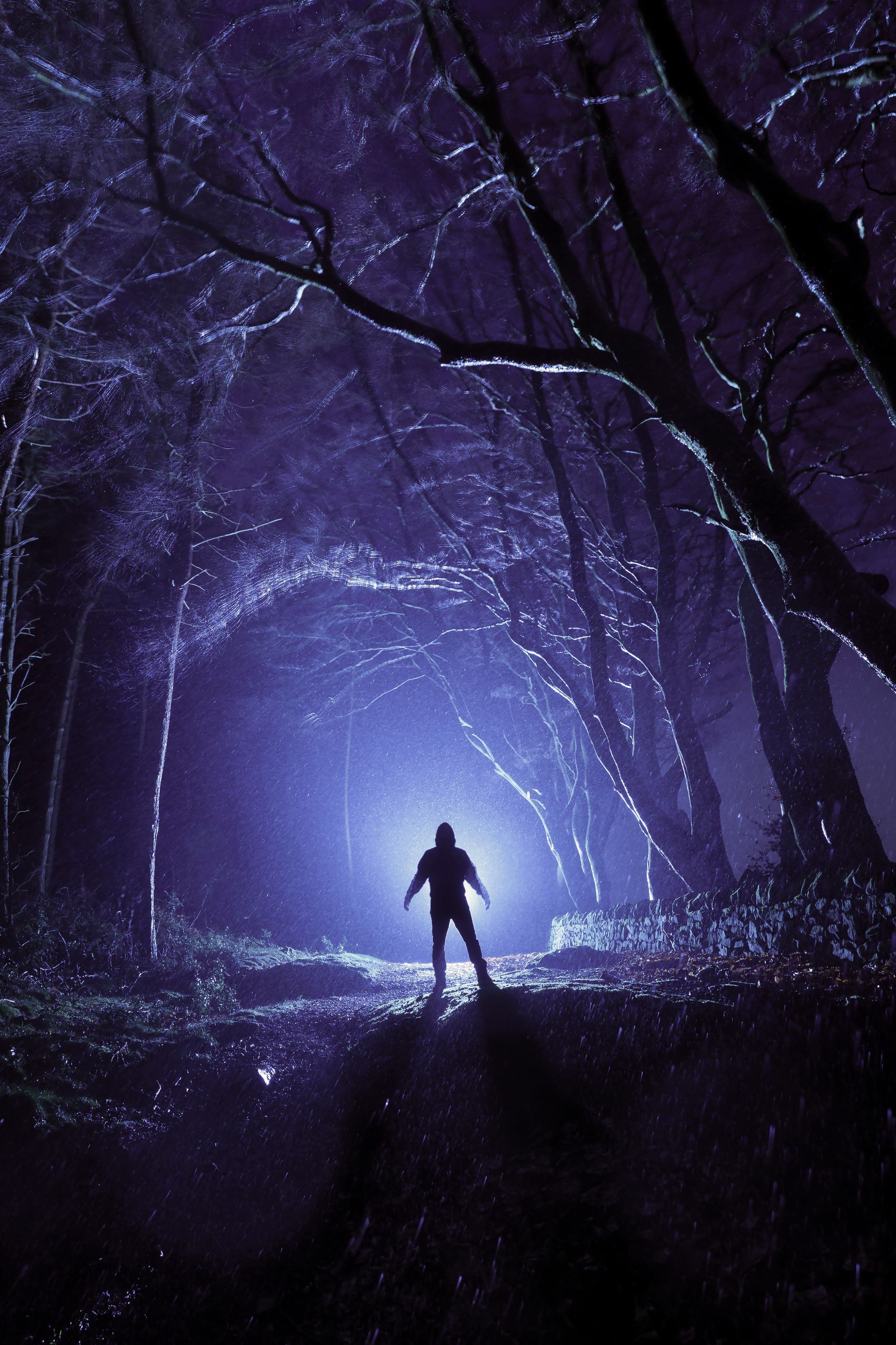 Darwin-Forest-LP1.jpg