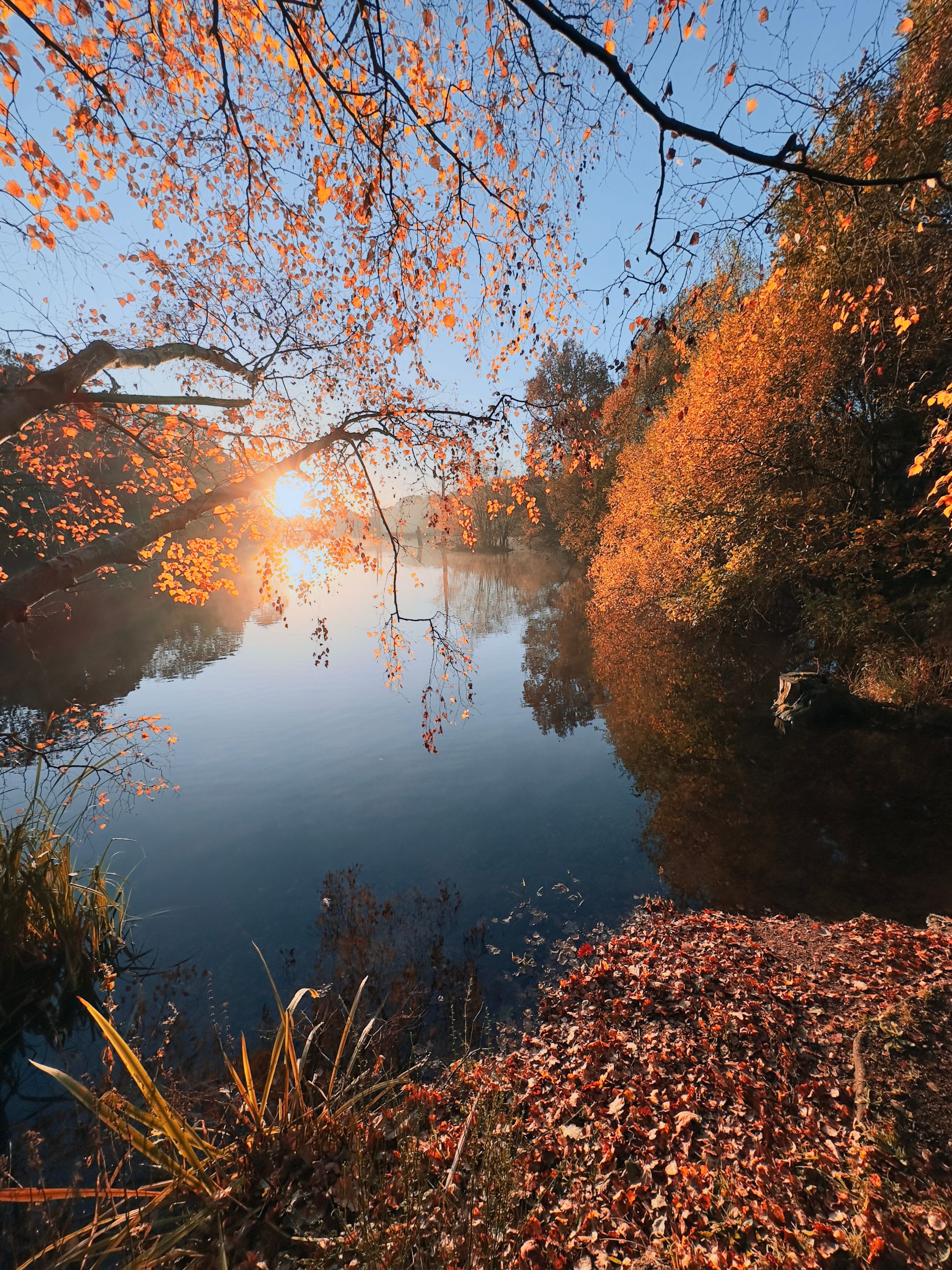 Clumber-Lake-Walkabout_IMG_6670.jpg