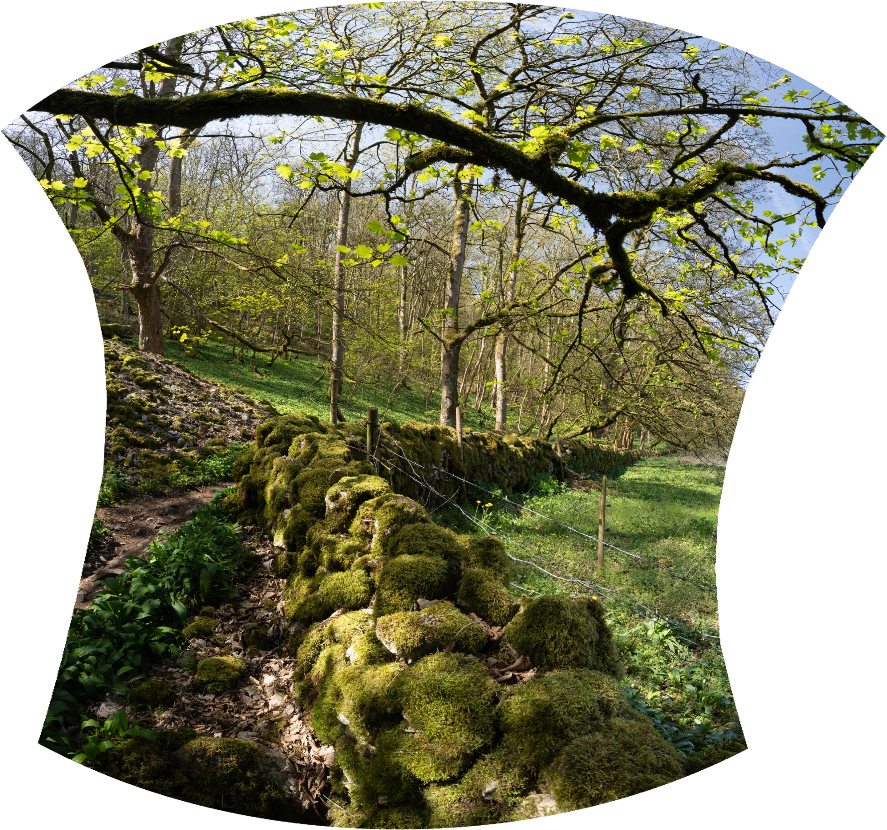 Untitled_Panorama-unedited1.jpg
