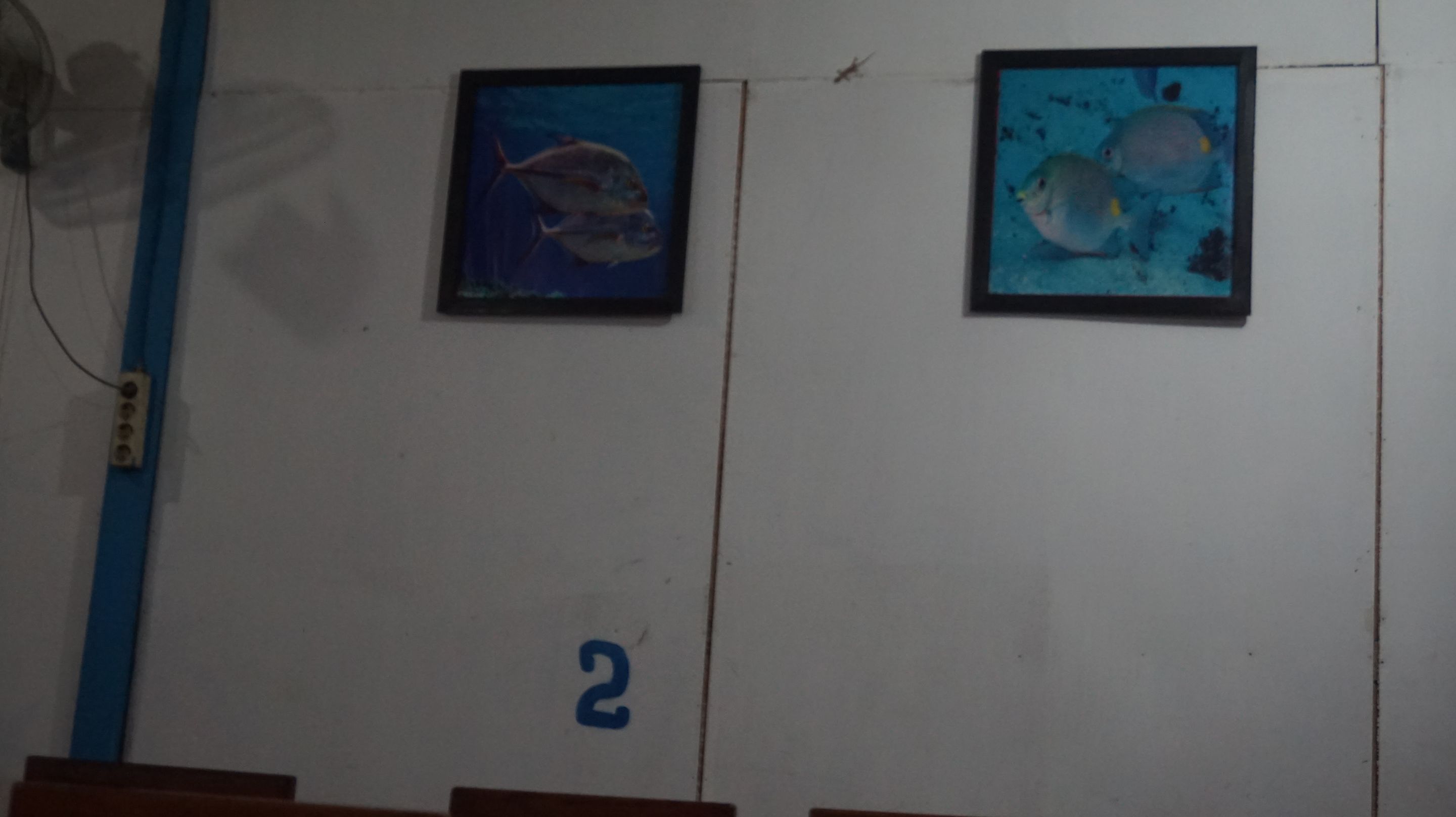 DSC06464.JPG