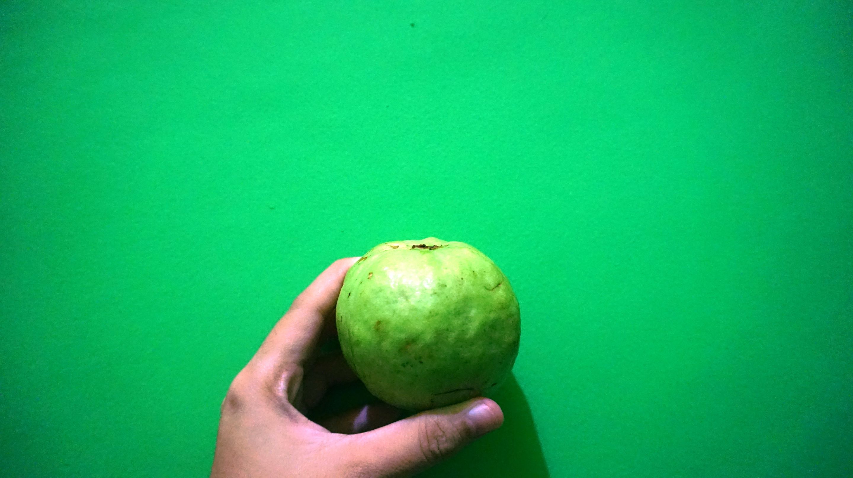 17.JPG