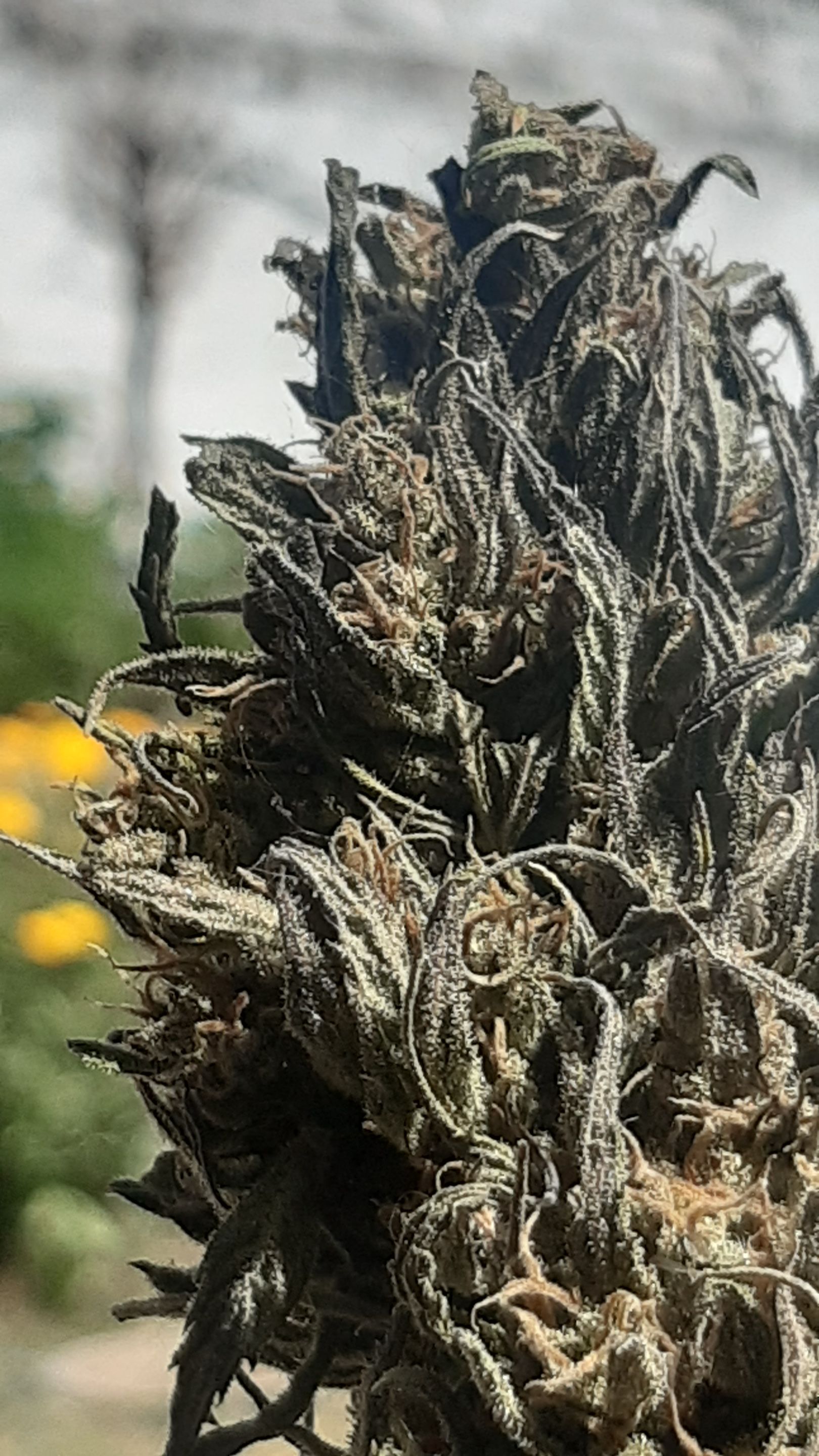 20230909_132512.jpg