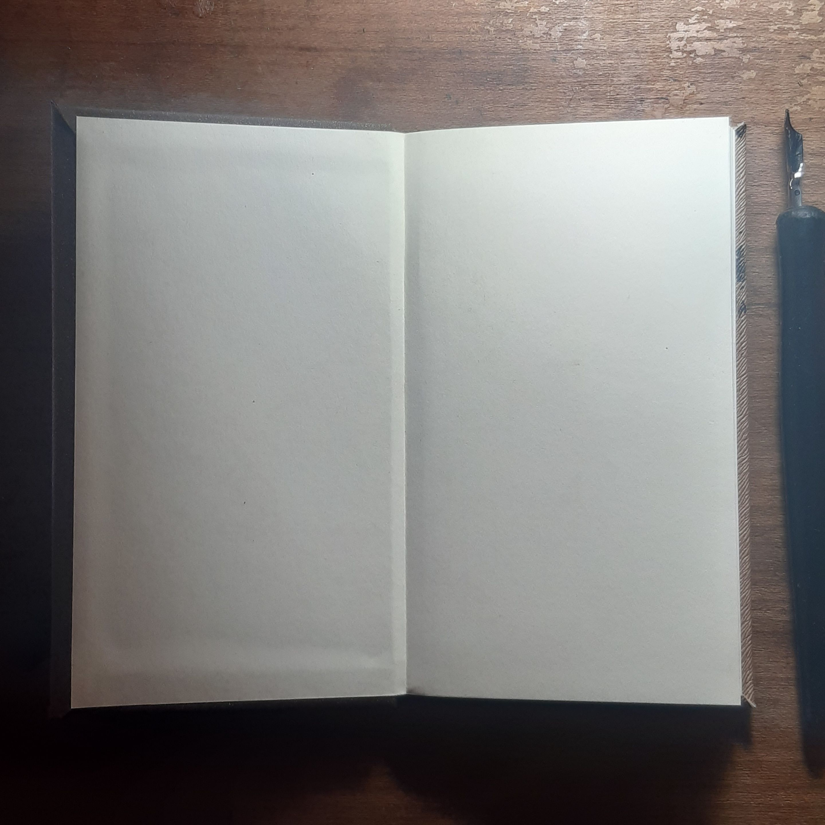 20220923_113731.jpg